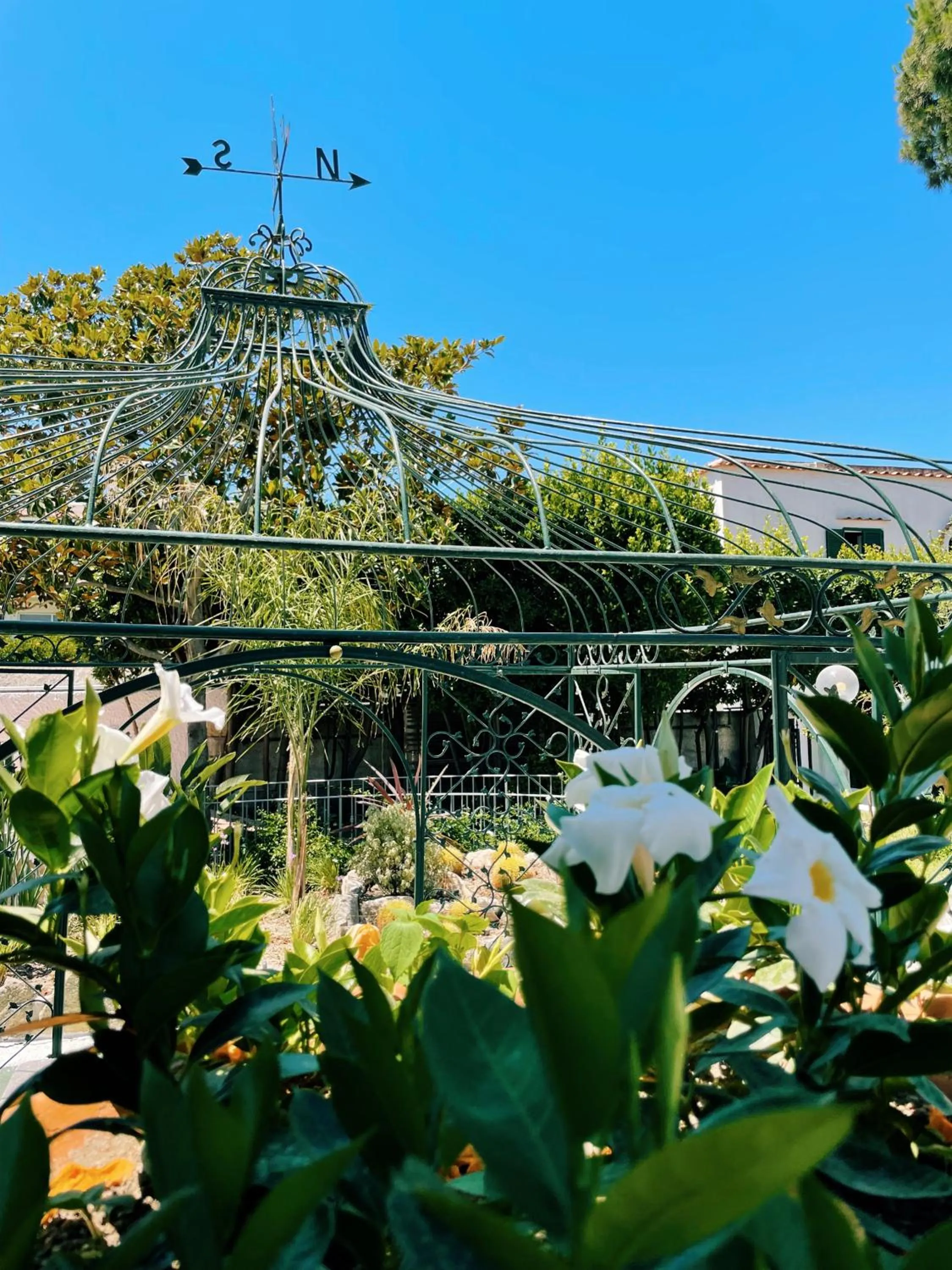 Garden in Hotel Lord Byron