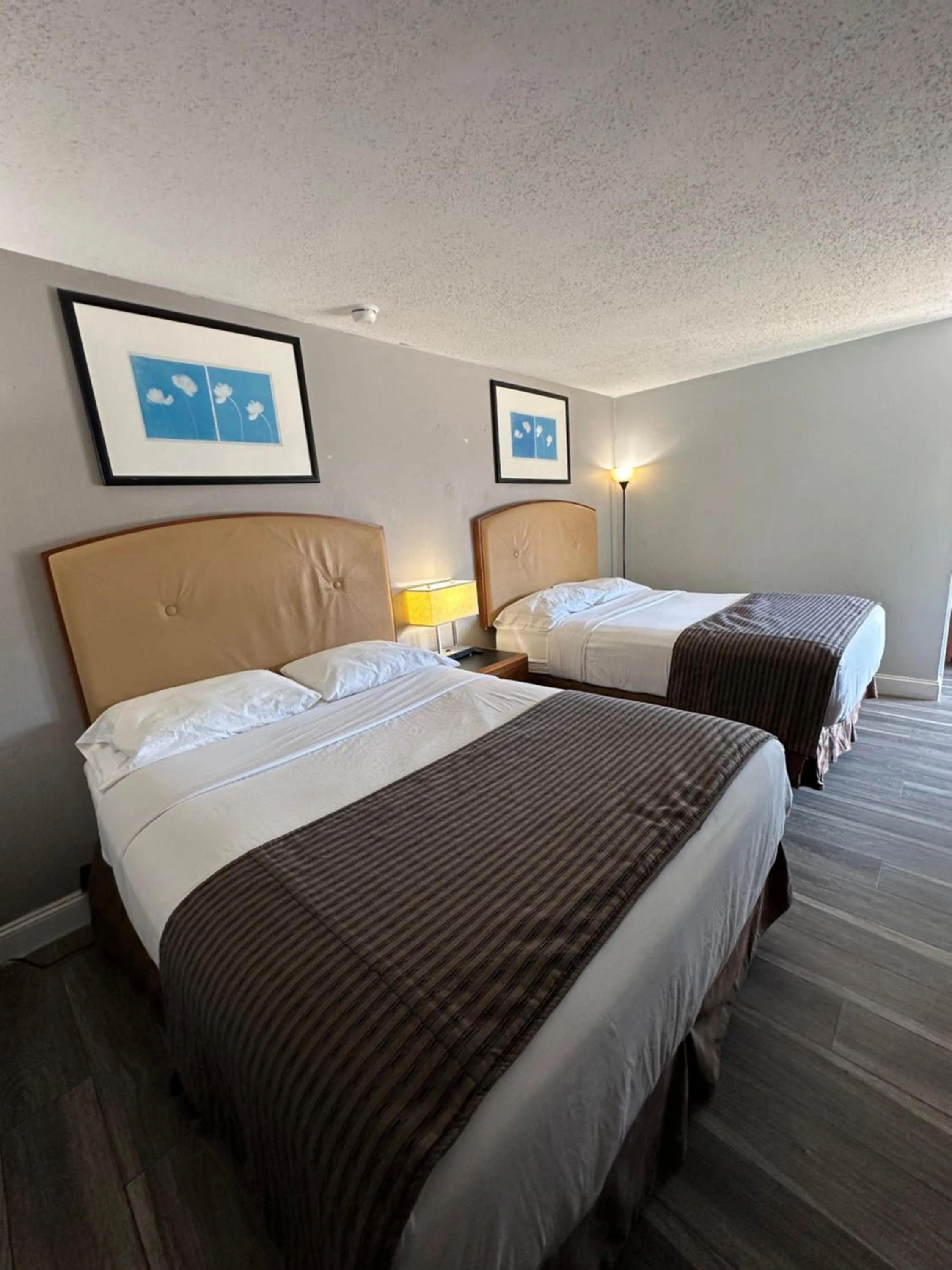 Photo of the whole room in Travel Inn & Suites