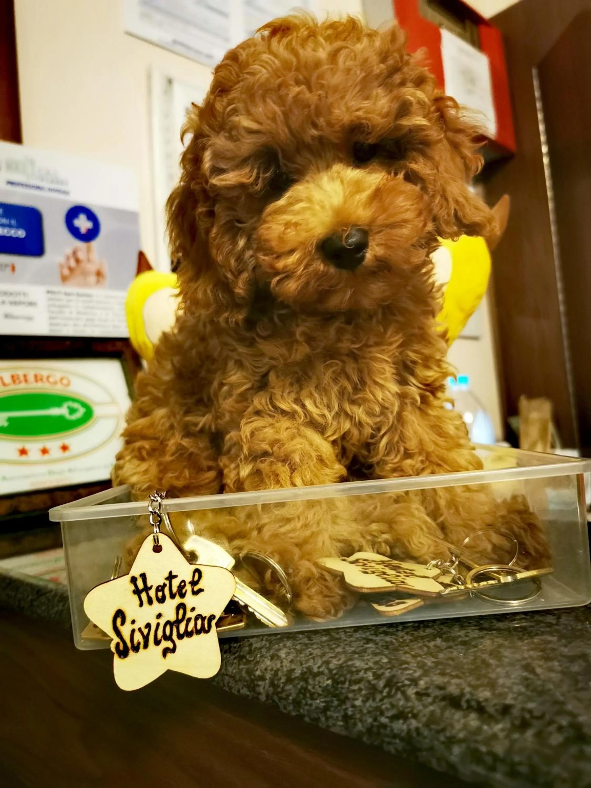 Property building in Hotel Siviglia