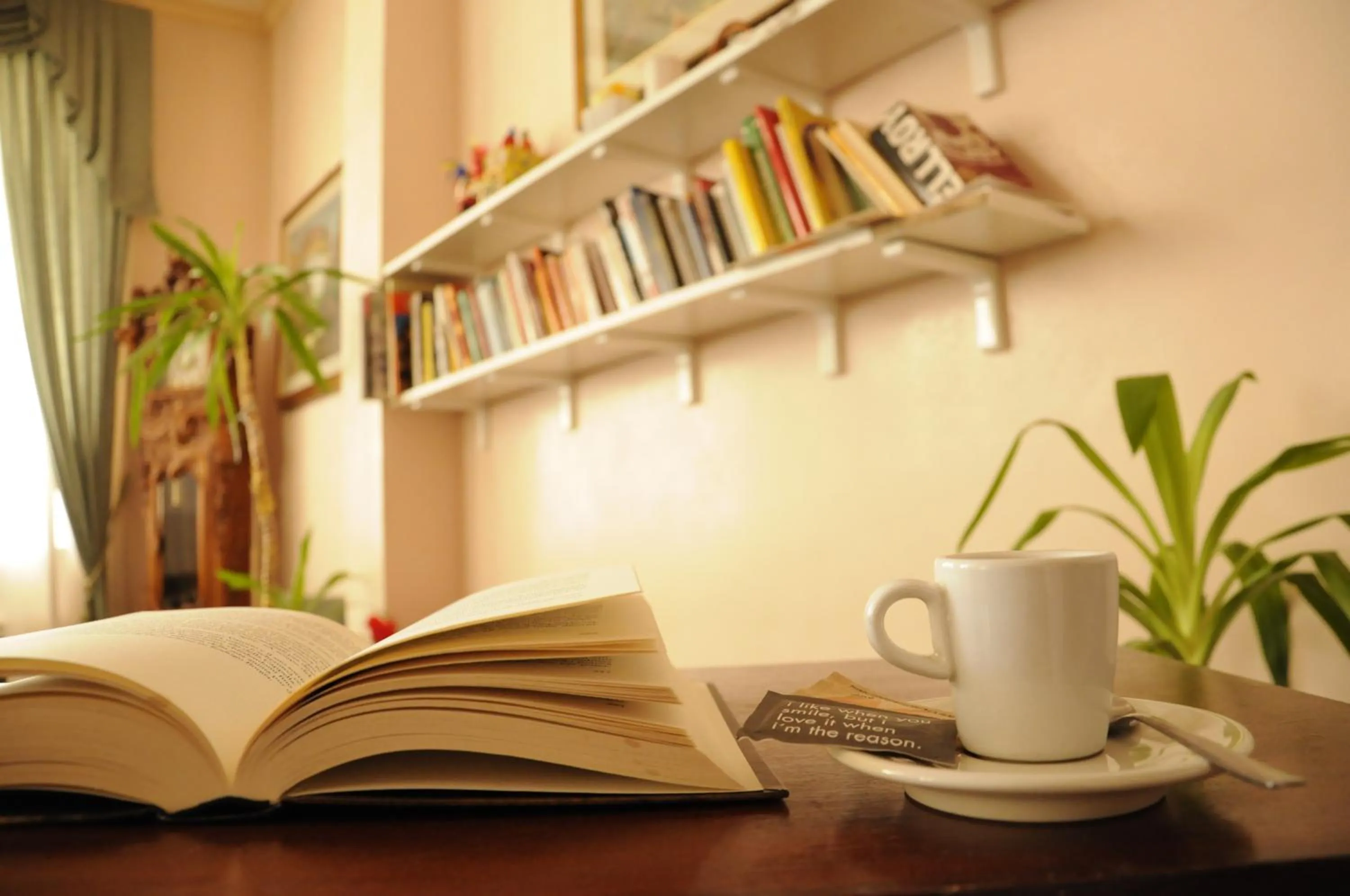 Entertainment in Hotel Siviglia