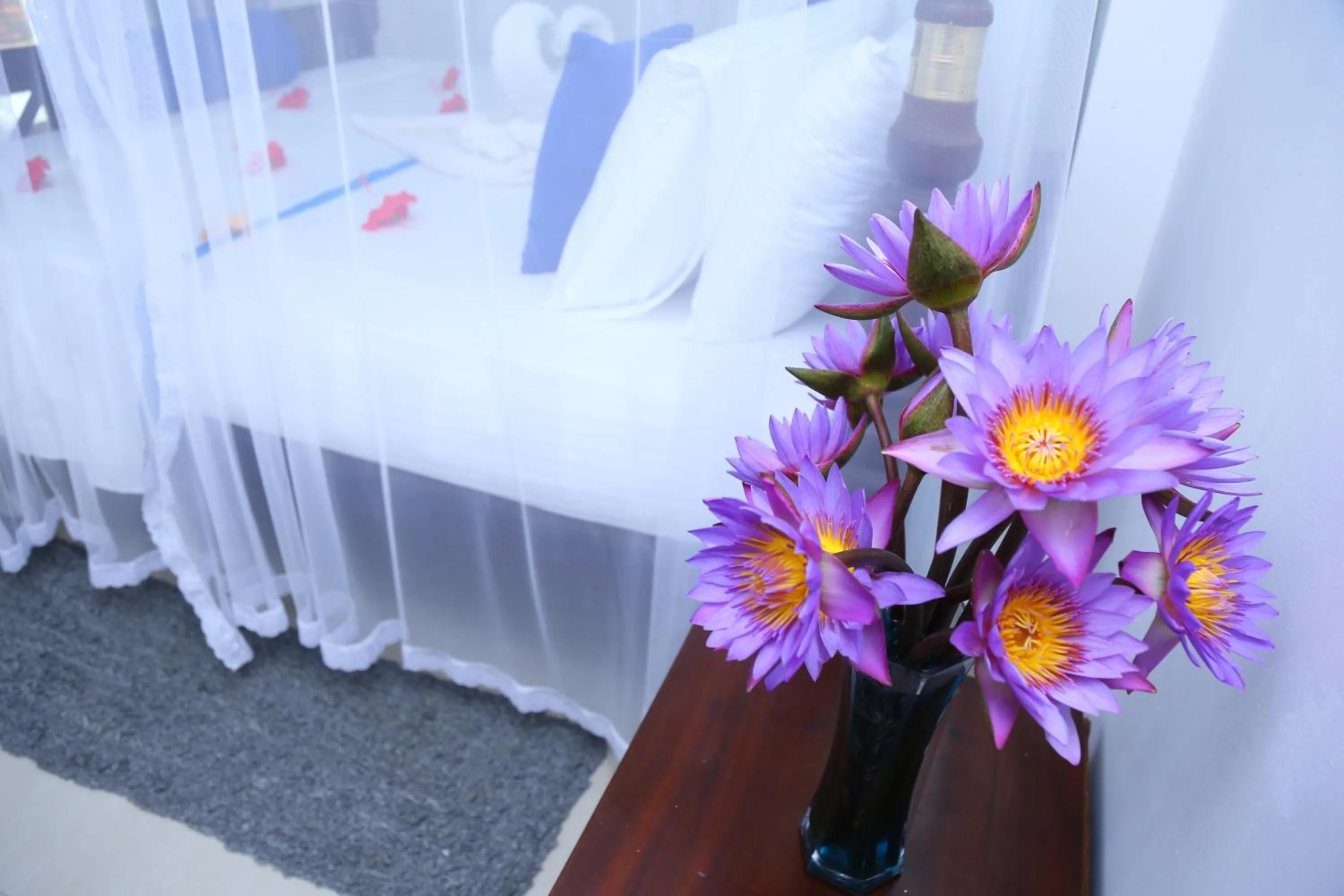Budget Room with Garden View in Villa Gaetano Unawatuna