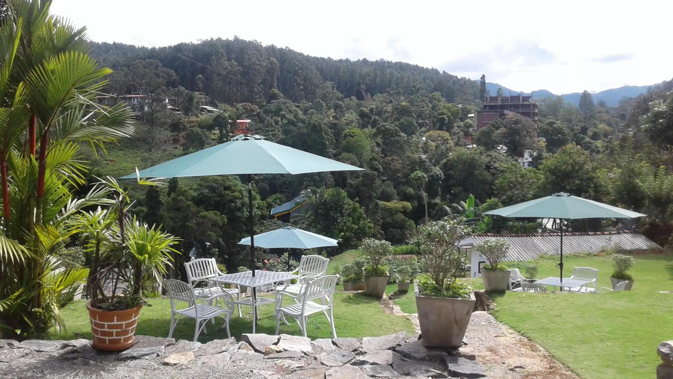 Garden in Alta Vista