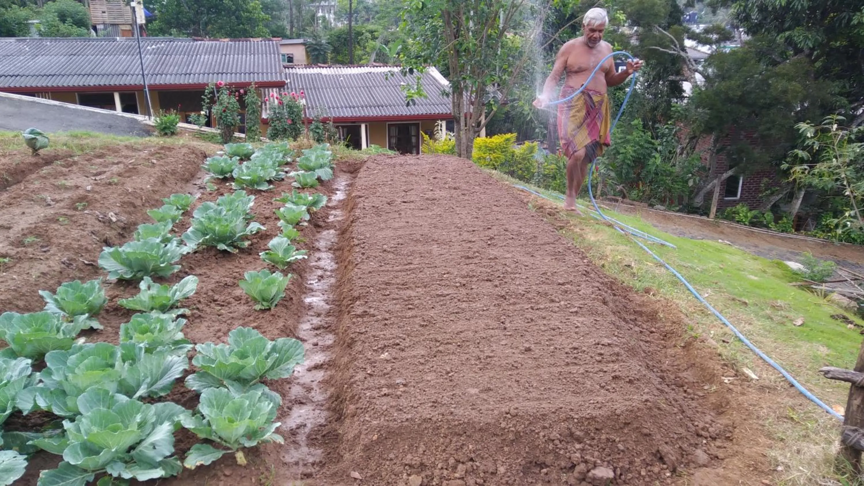 Garden in Alta Vista