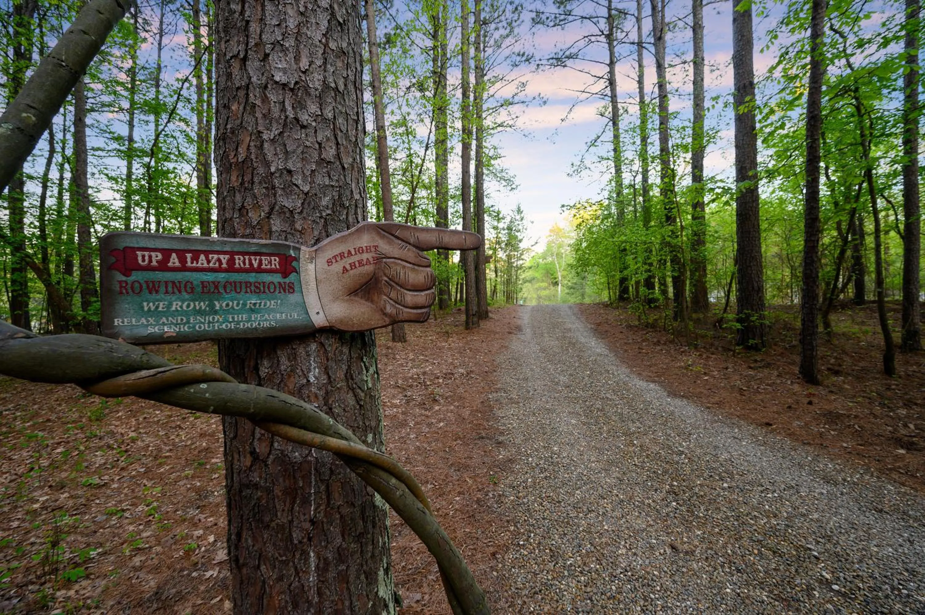 Hickory Bear - Cabin surrounded by pines, Sleeps 10, Hot Tub, Fire Pit, Arcade, Foosball Table & Deck Slide