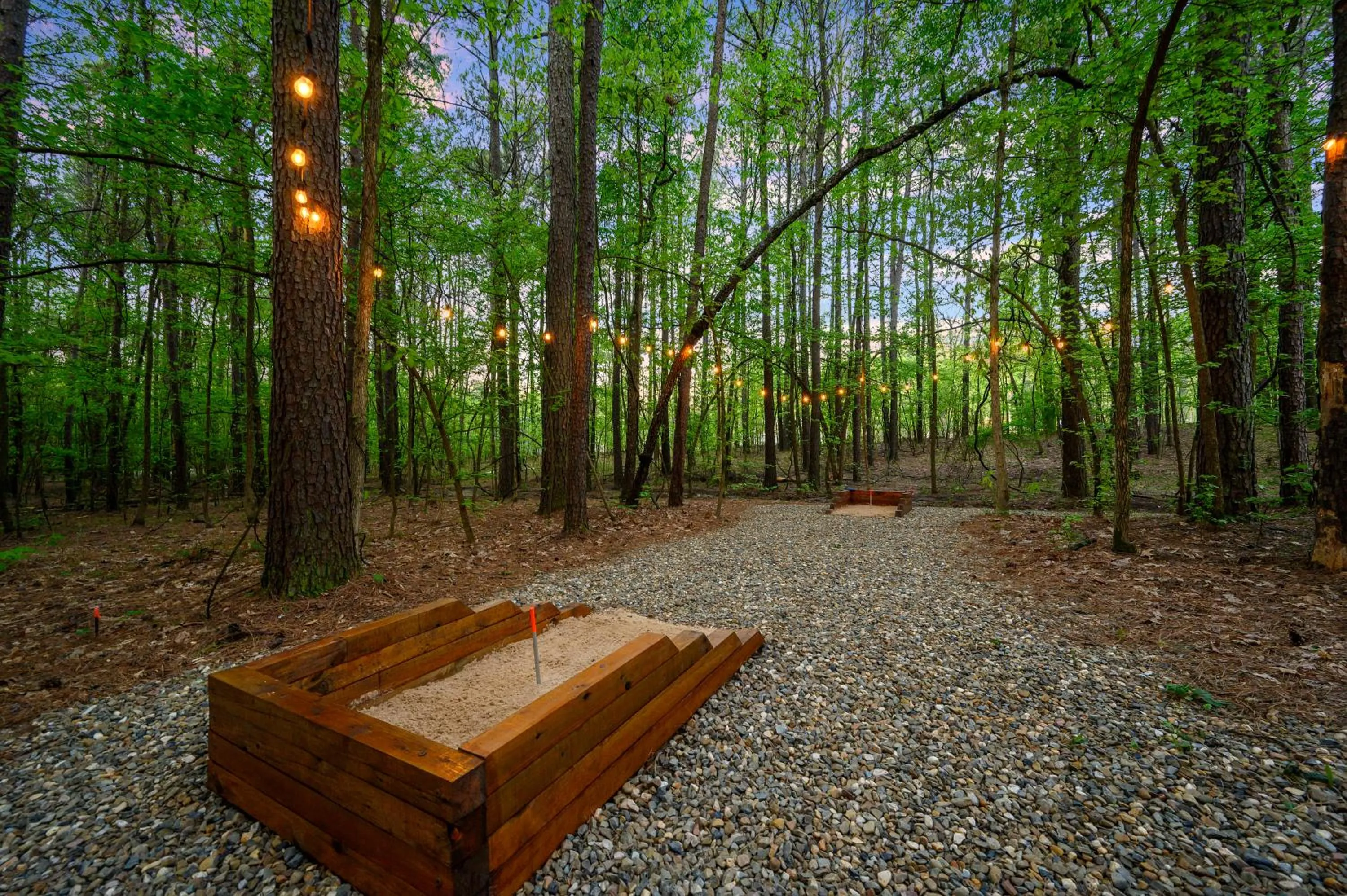 Natural landscape in Hickory Bear - Cabin surrounded by pines, Sleeps 10, Hot Tub, Fire Pit, Arcade, Foosball Table & Deck Slide
