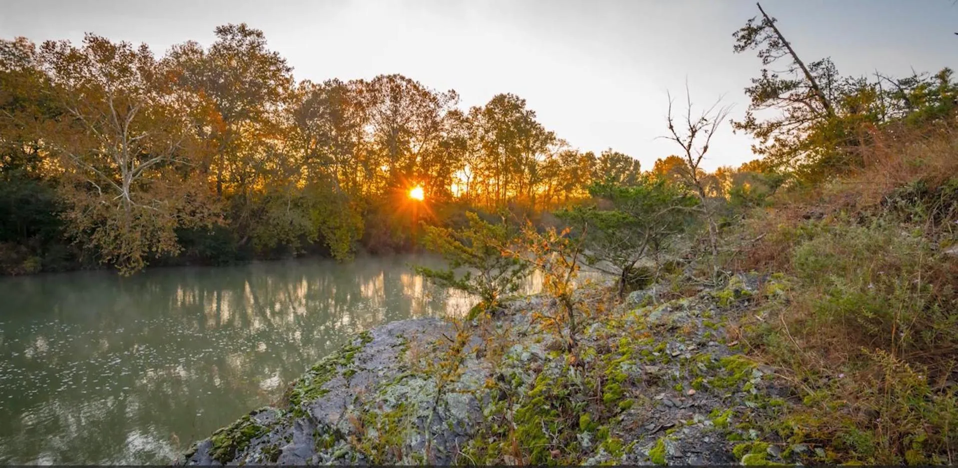Hickory Bear - Cabin surrounded by pines, Sleeps 10, Hot Tub, Fire Pit, Arcade, Foosball Table & Deck Slide