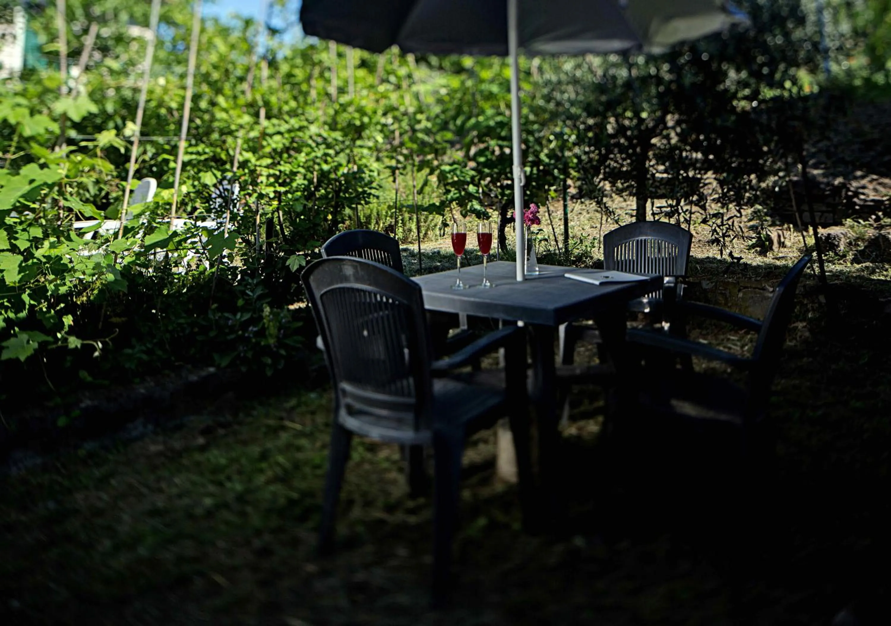 Garden in Hotel Del Borgo