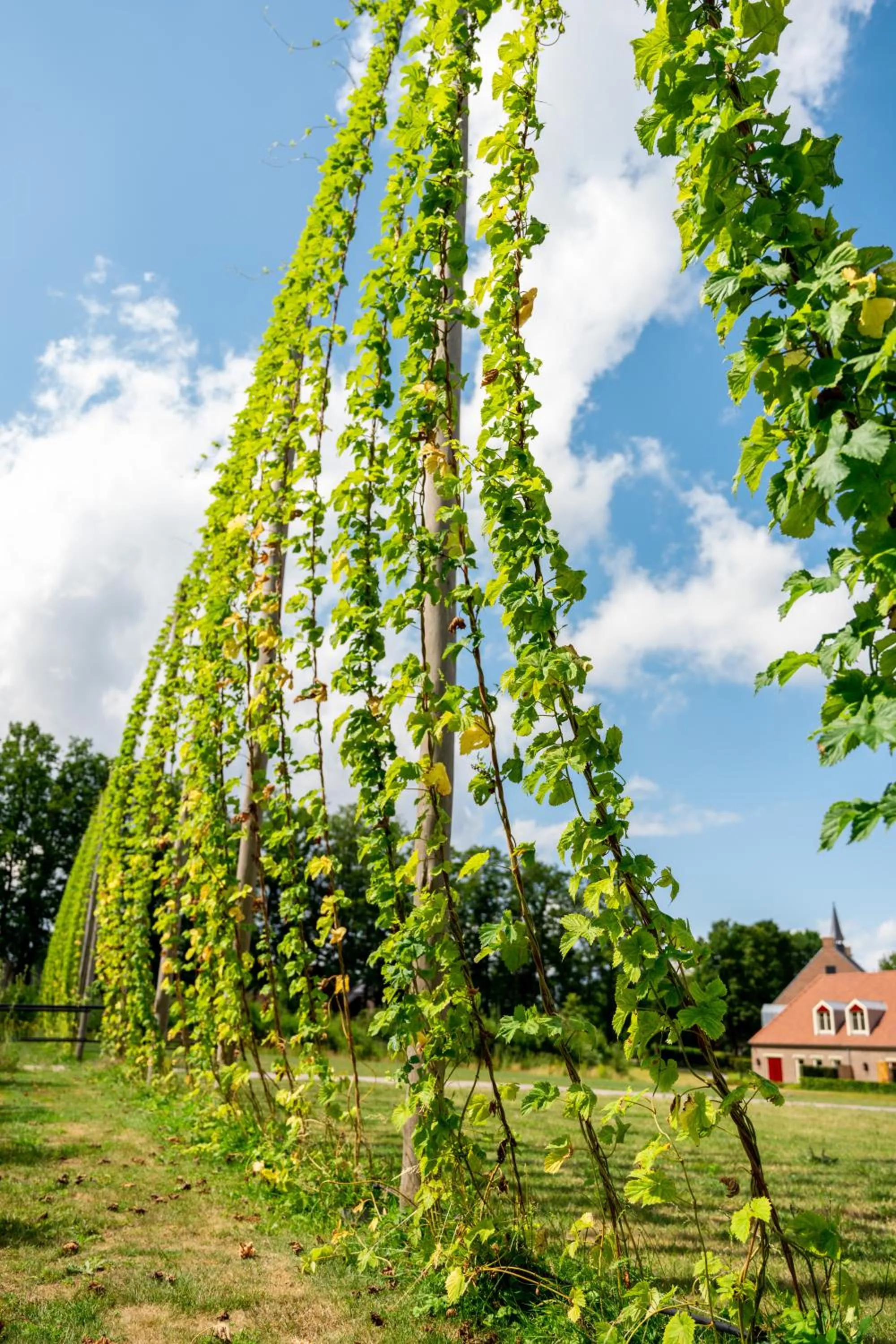 Area and facilities in Othmar Herberg