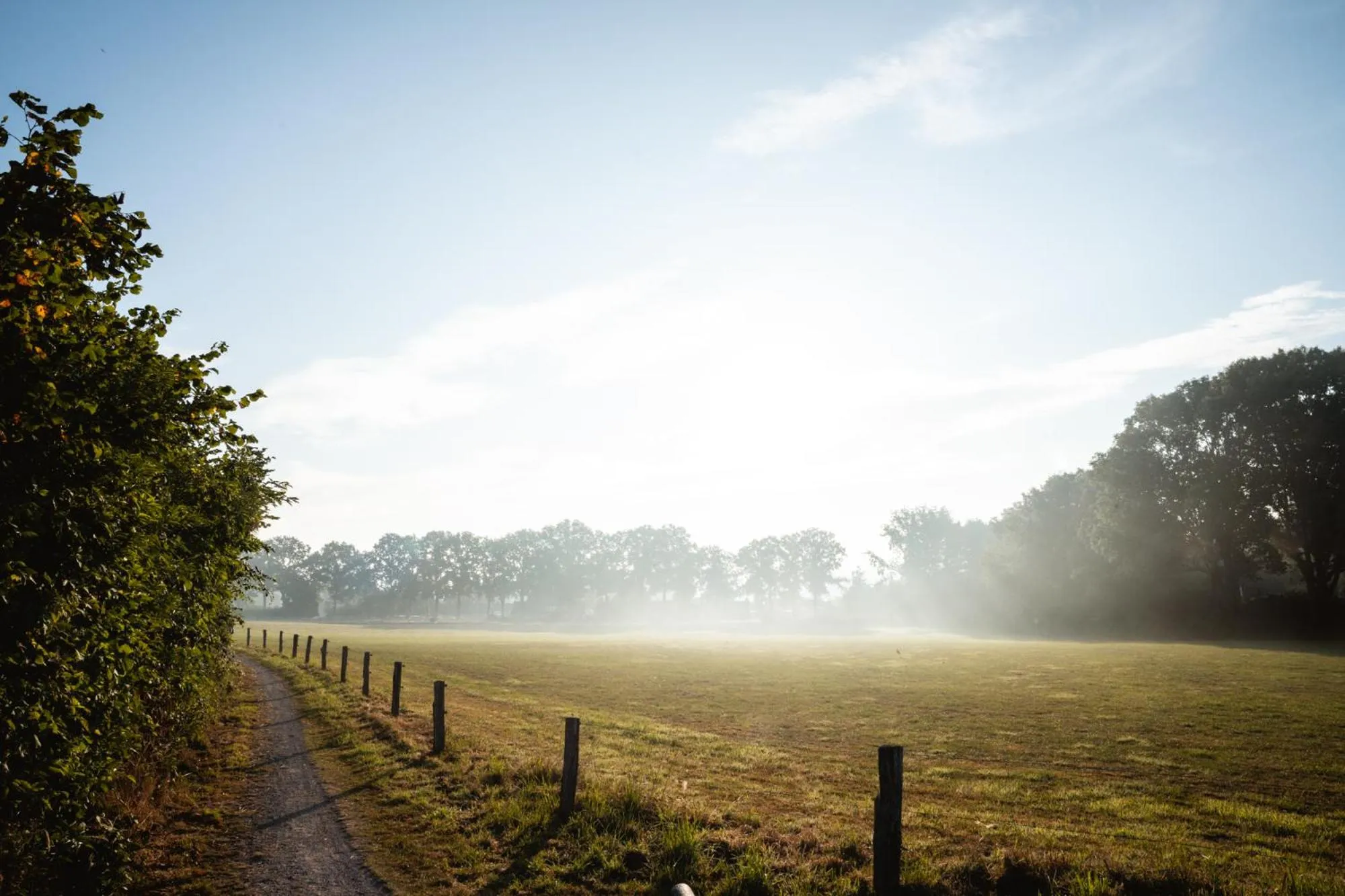 Natural landscape in Othmar Herberg
