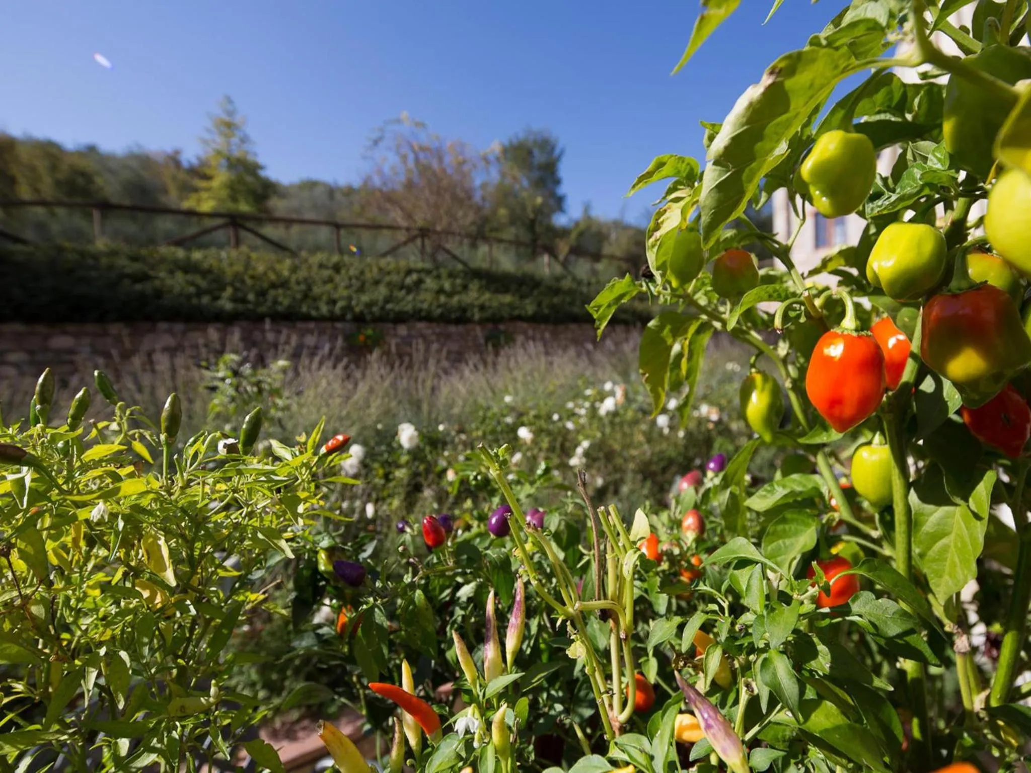 Decorative detail in Hotel Le Pozze Di Lecchi