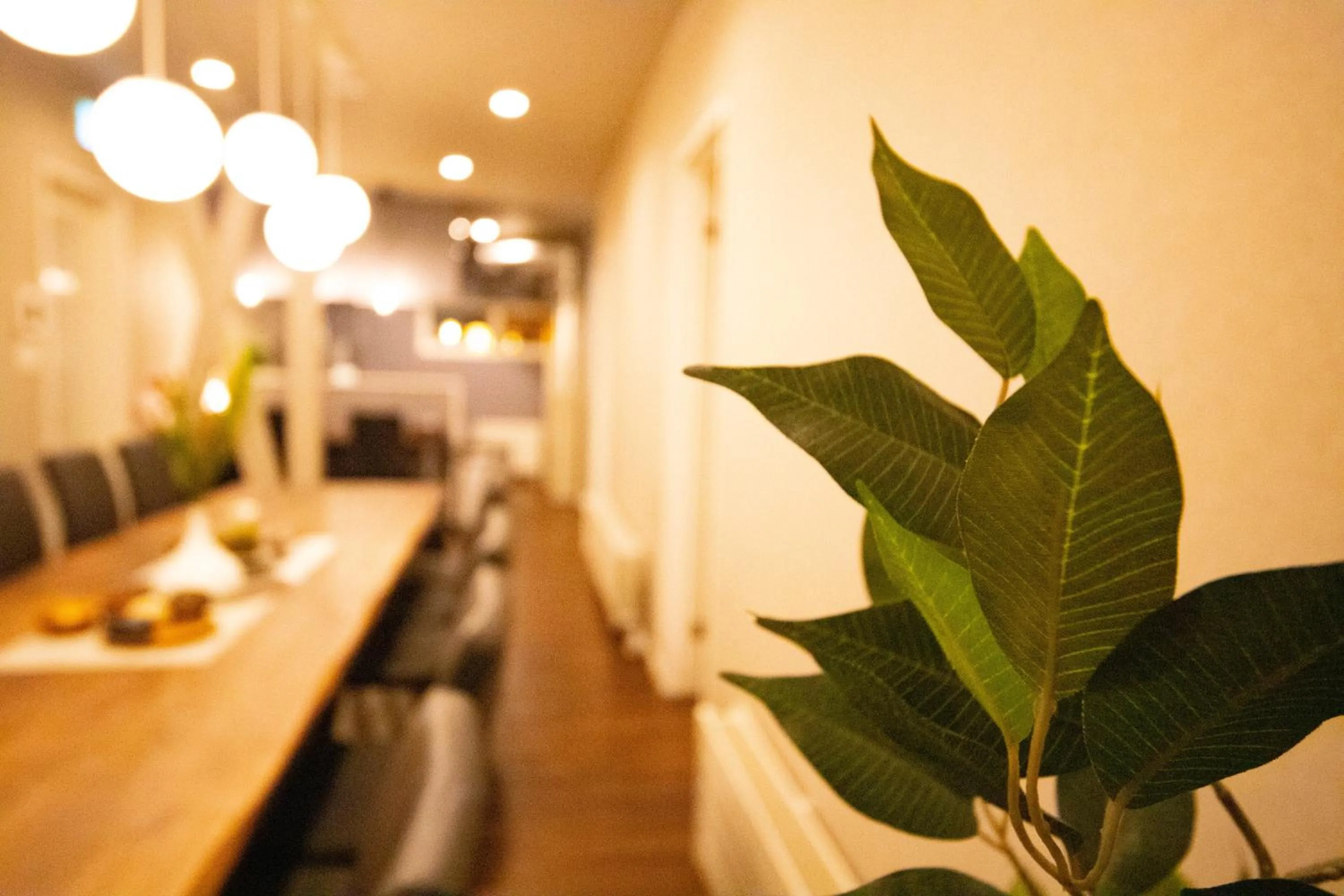 Dining area in THE SUN LOUNGE