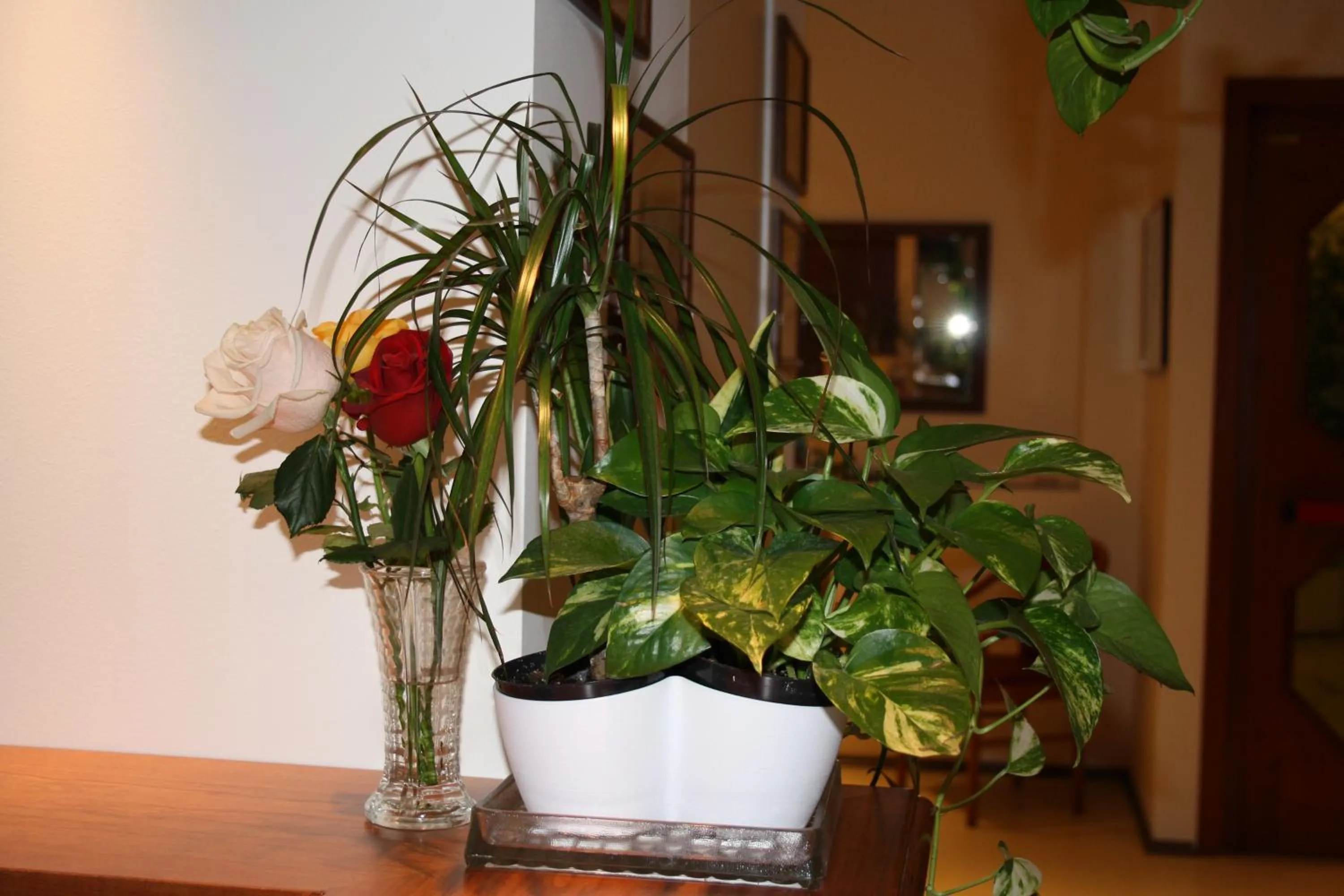 Decorative detail in Hotel Sole Mare