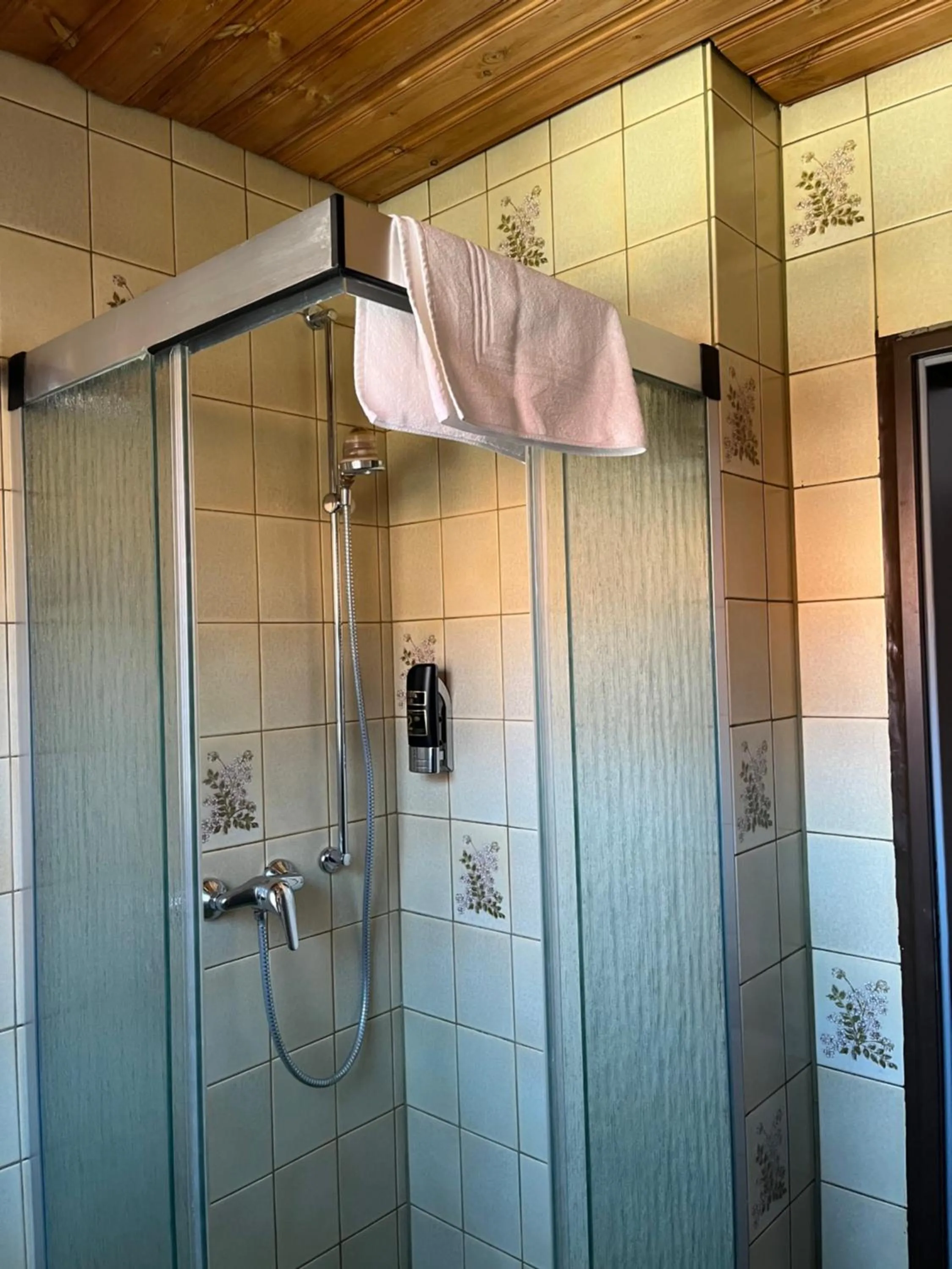 Shower in Pension Main-Art