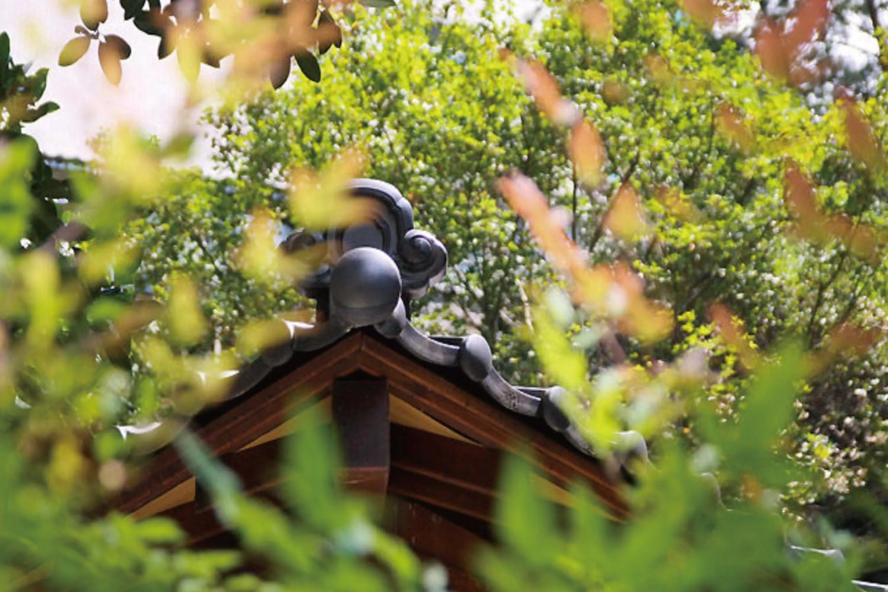 Garden view in Uni-Resort Ku-Kuan