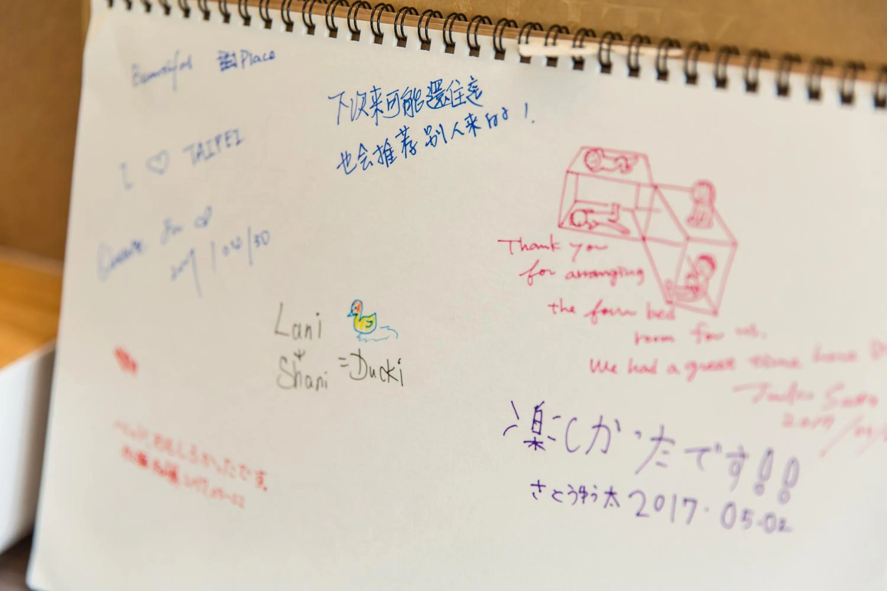 Communal lounge/ TV room in Mr. Lobster’s Secret Den design hostel