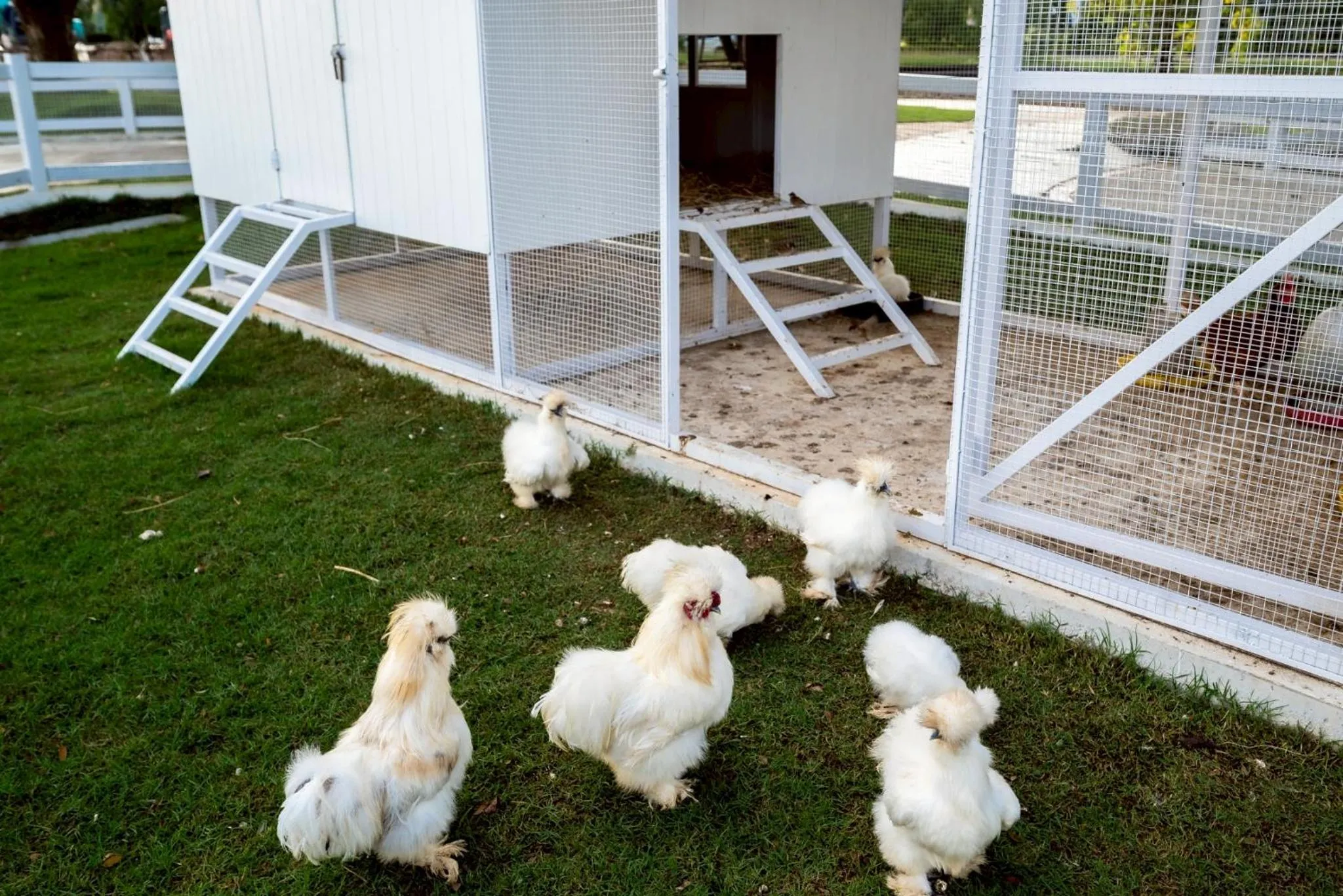 Day in Estella Khao Yai