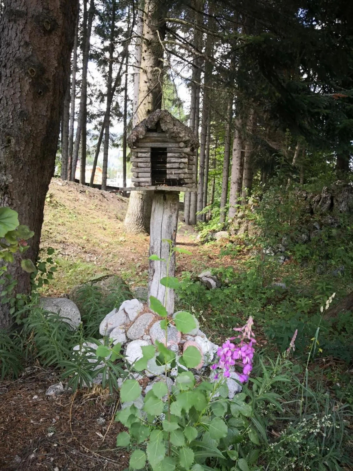 Natural landscape in Hotel Bonapace ***S