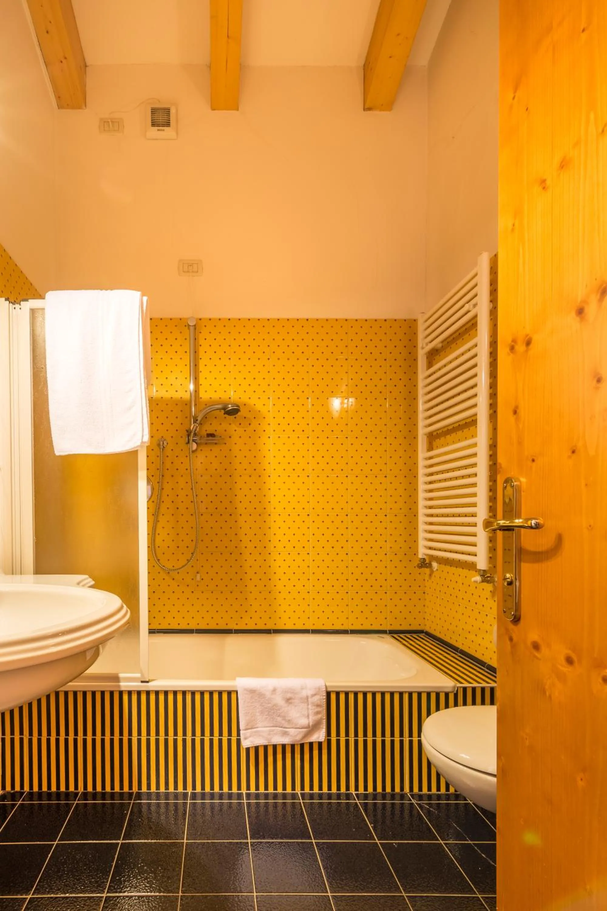 Toilet in Hotel Bonapace ***S