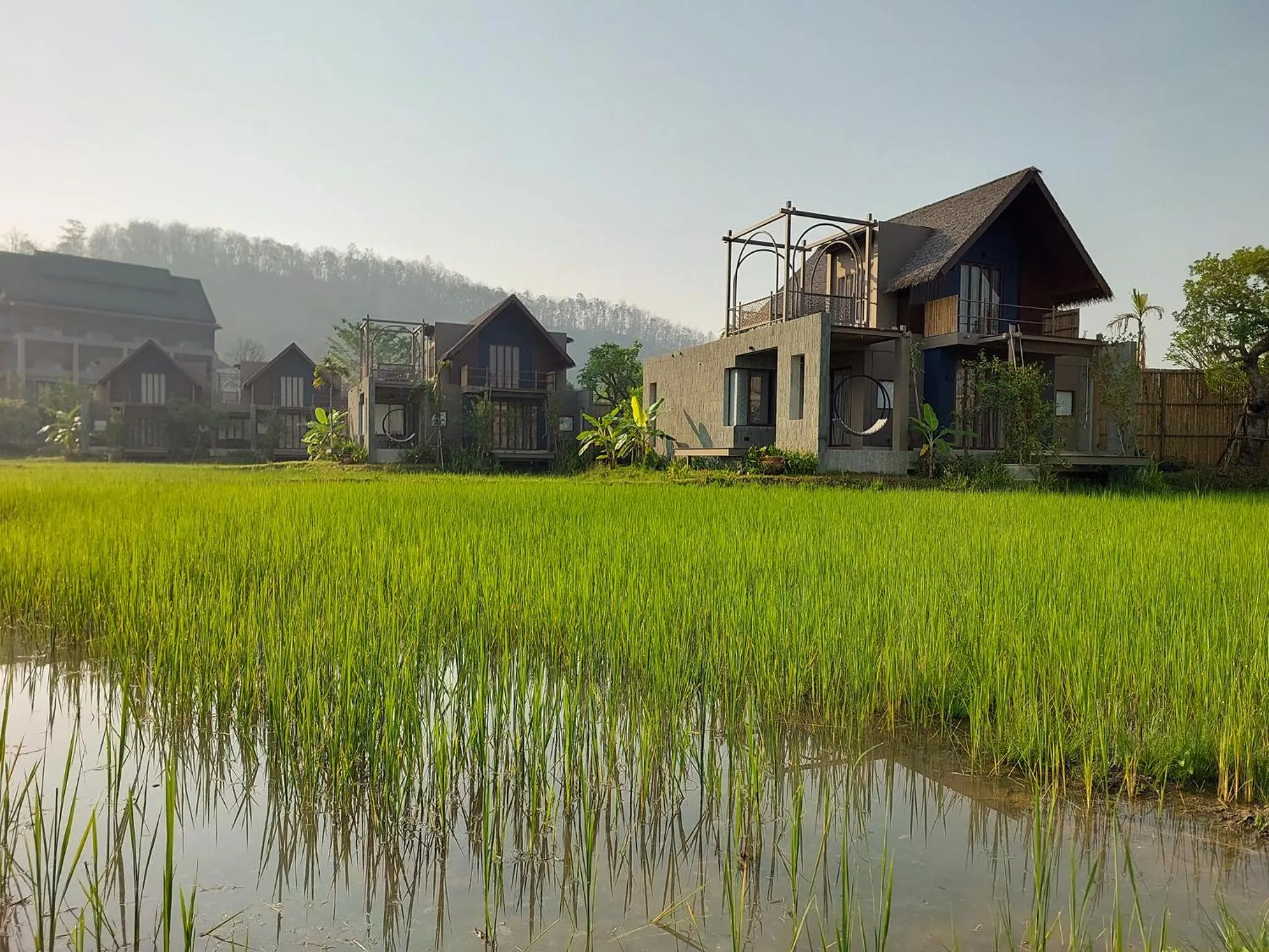 Natural landscape in Yatika Boutique Chiang Dao