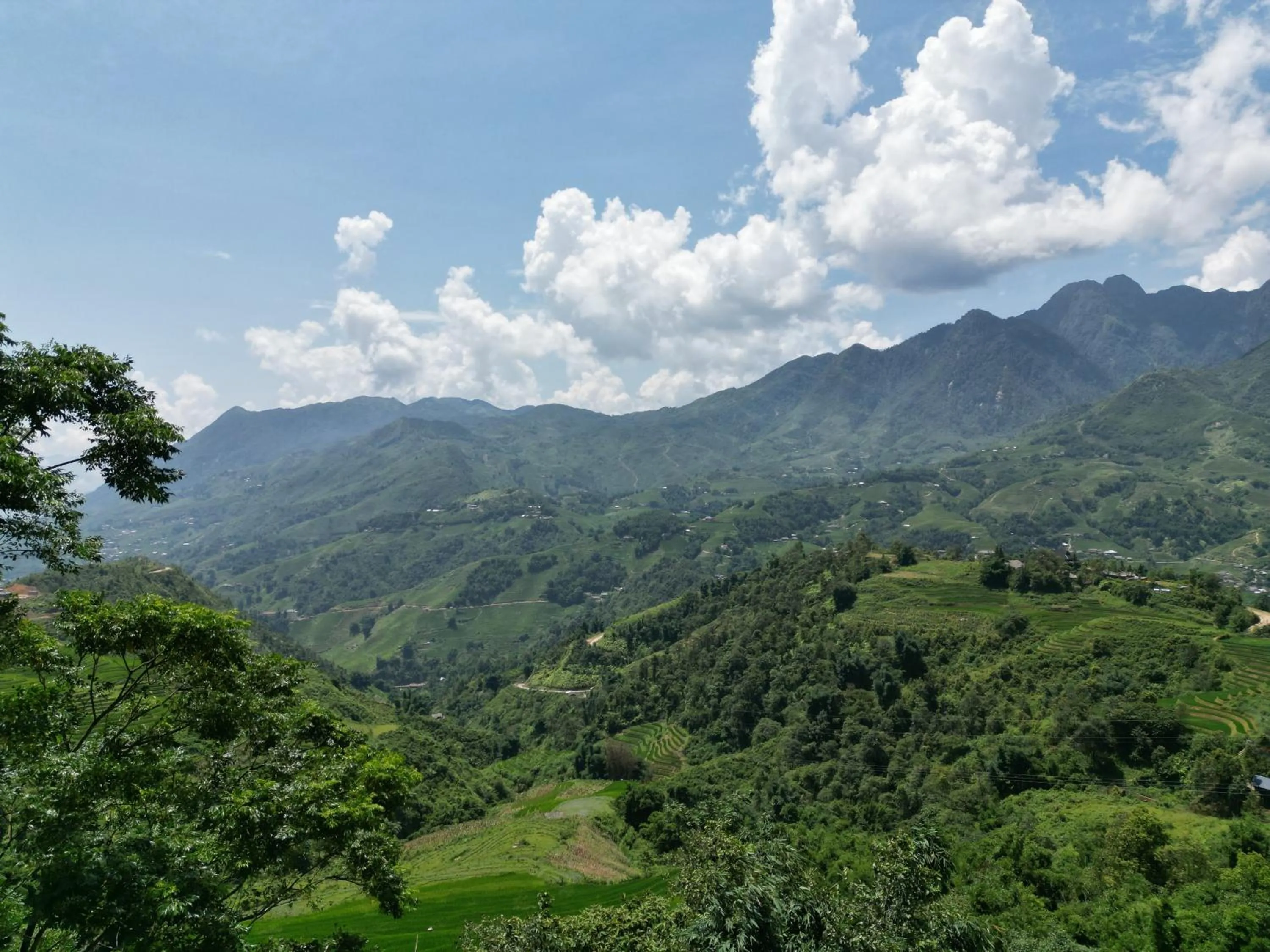 Natural landscape in Sapa Rosie House