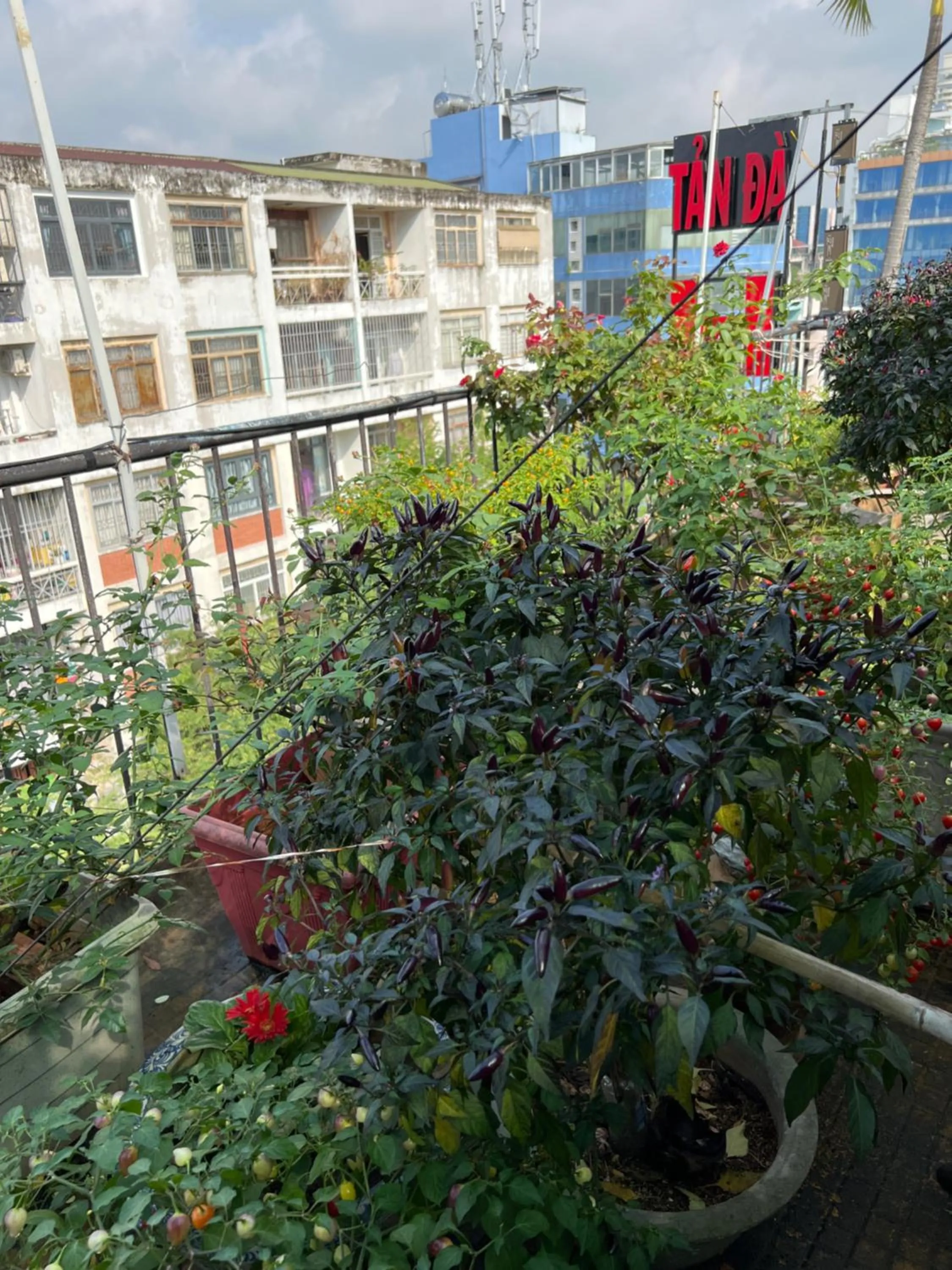 Balcony/Terrace in Tan Da Hotel