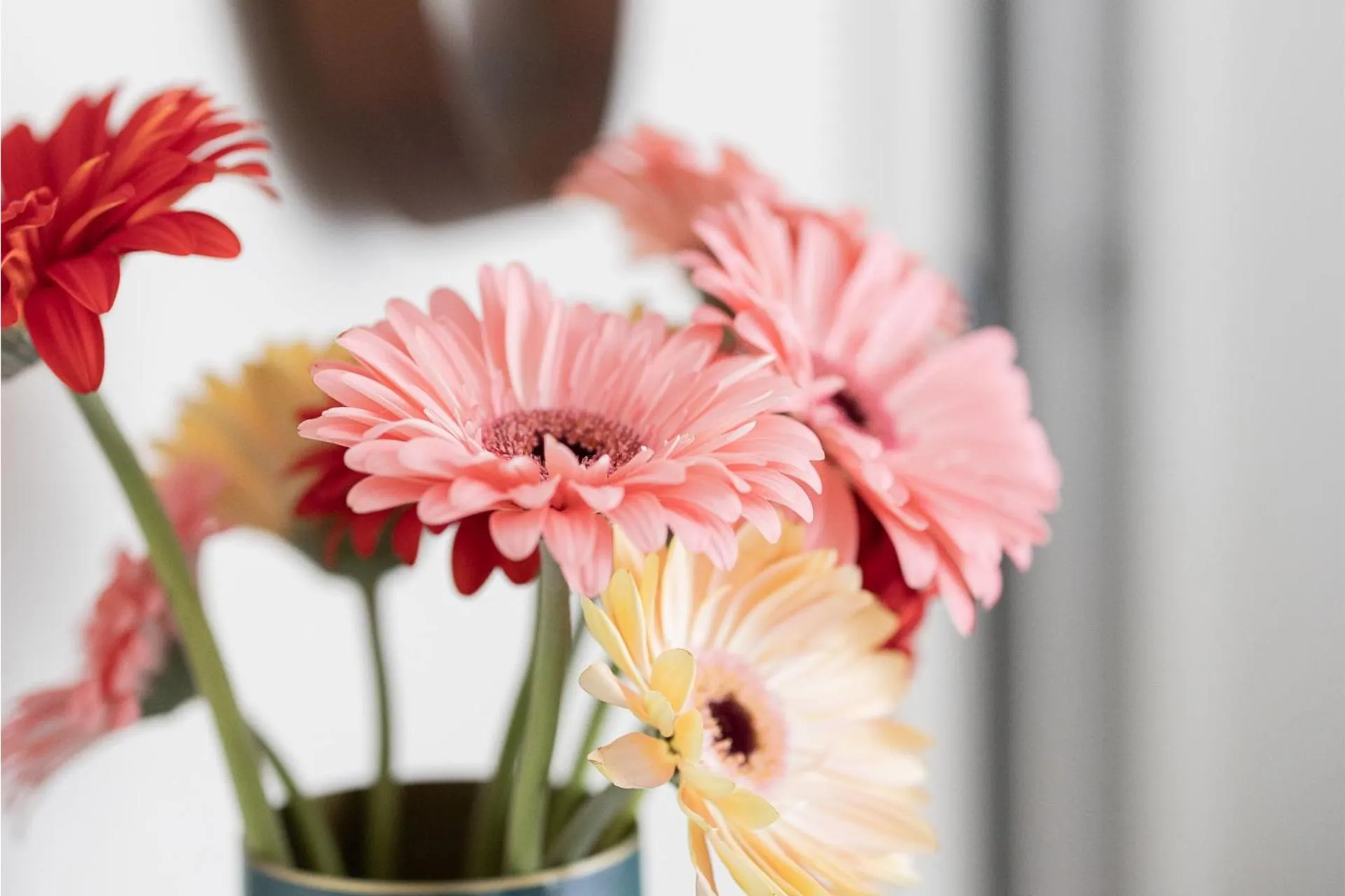 Porta Nera Private Living - adults only