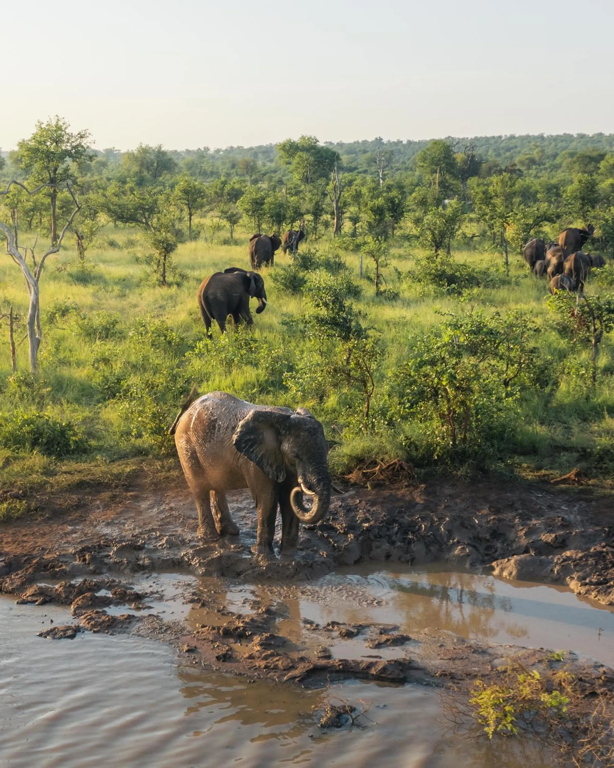 Day in MILIMA Big 5 Safari Lodge