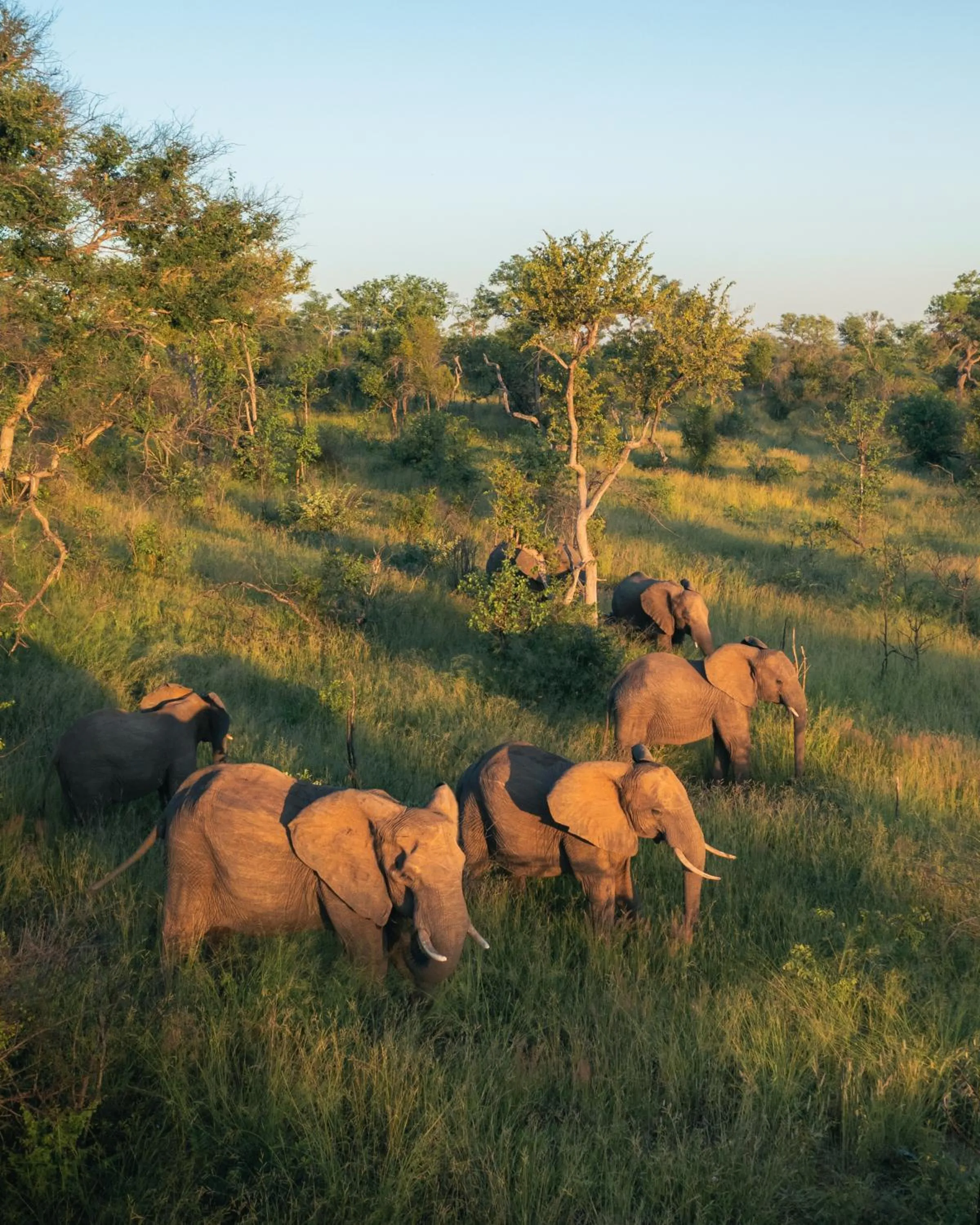 Day in MILIMA Big 5 Safari Lodge