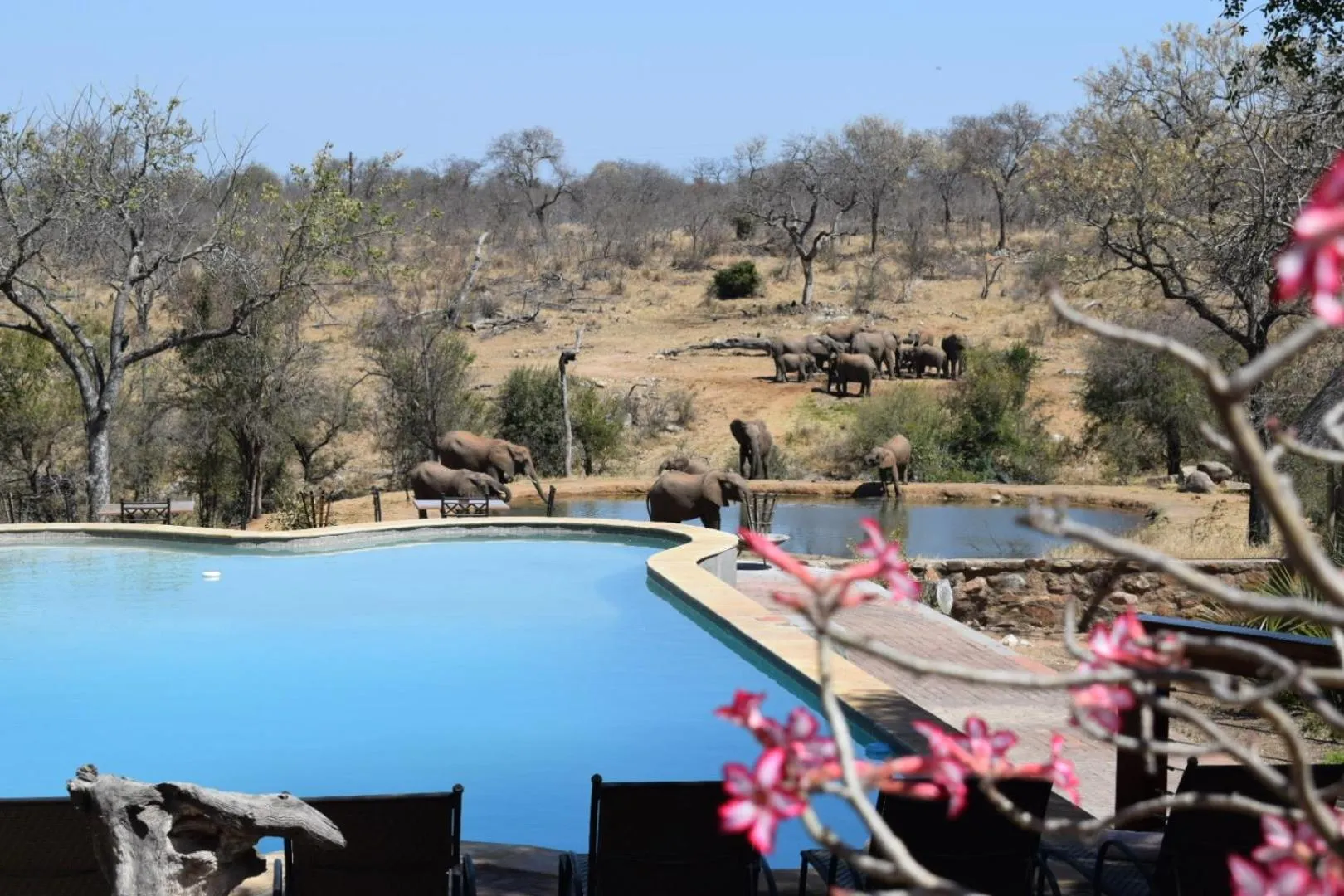 Day in MILIMA Big 5 Safari Lodge