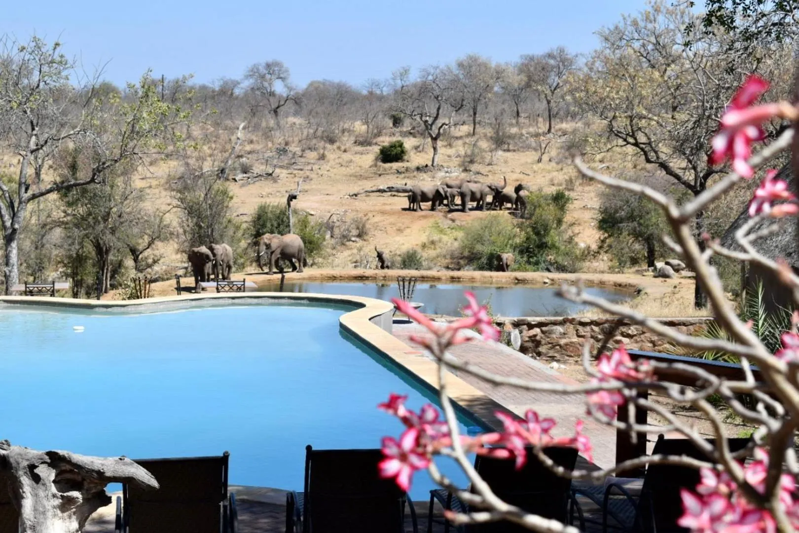 Nearby landmark in MILIMA Big 5 Safari Lodge