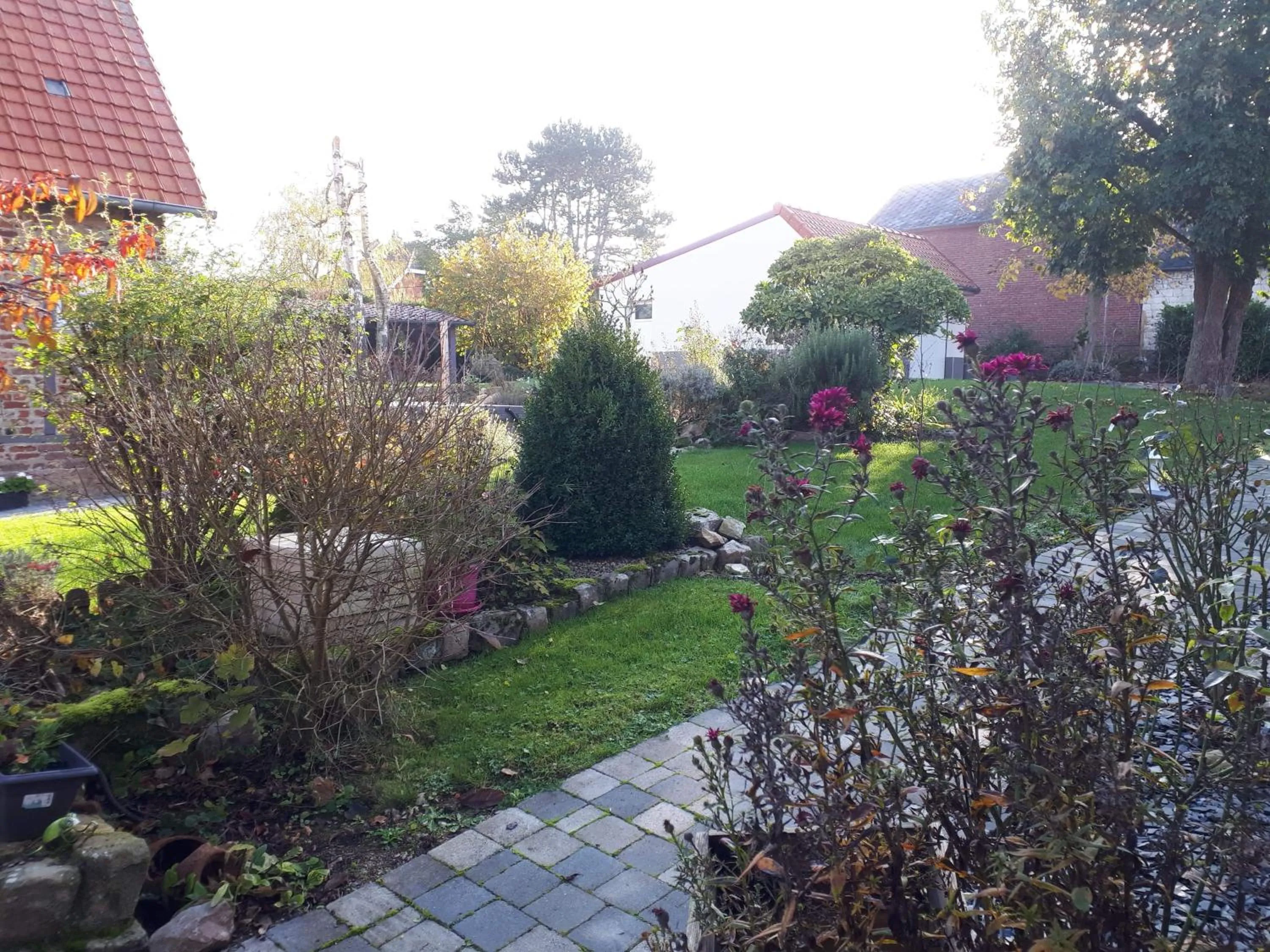 Garden in Chambres d'hôtes L'Aubaine avec jacuzzi