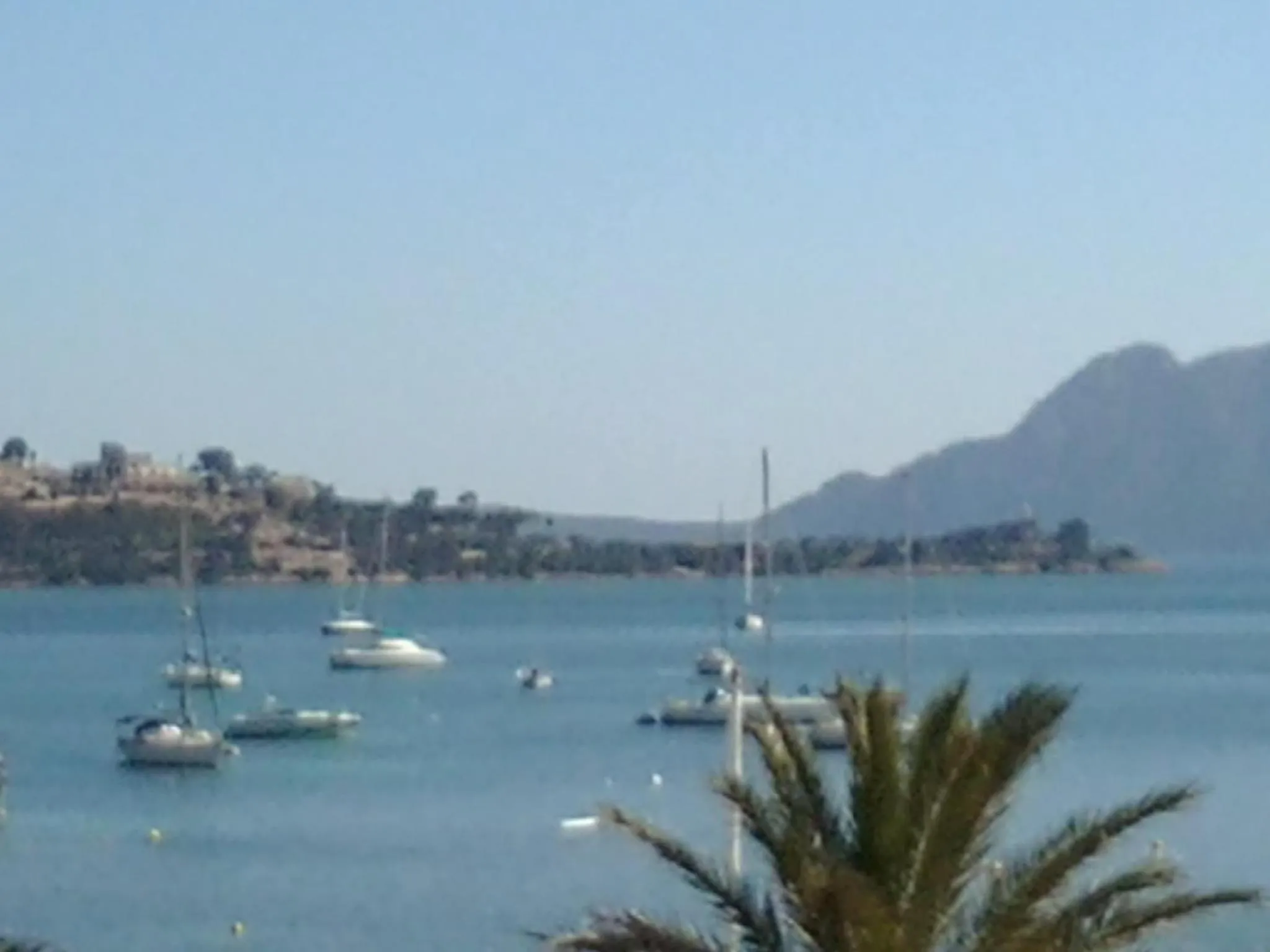 Day in Apartamentos Llevant