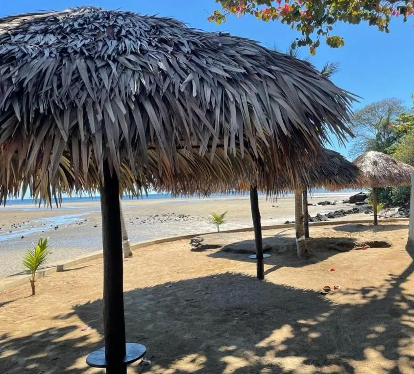 Anki Lodge