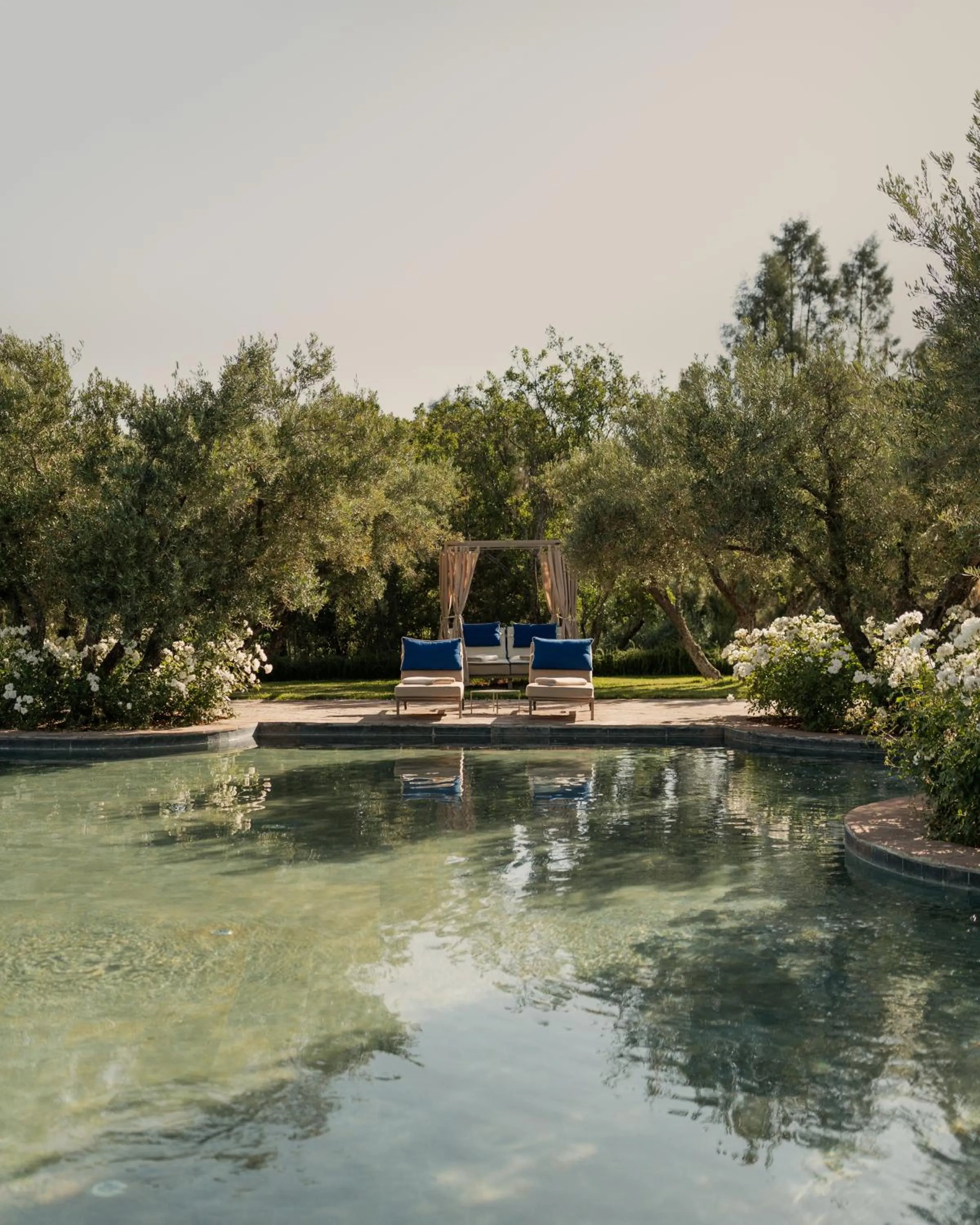 Swimming pool in Olinto, Atlas Mountain Retreat - adults only