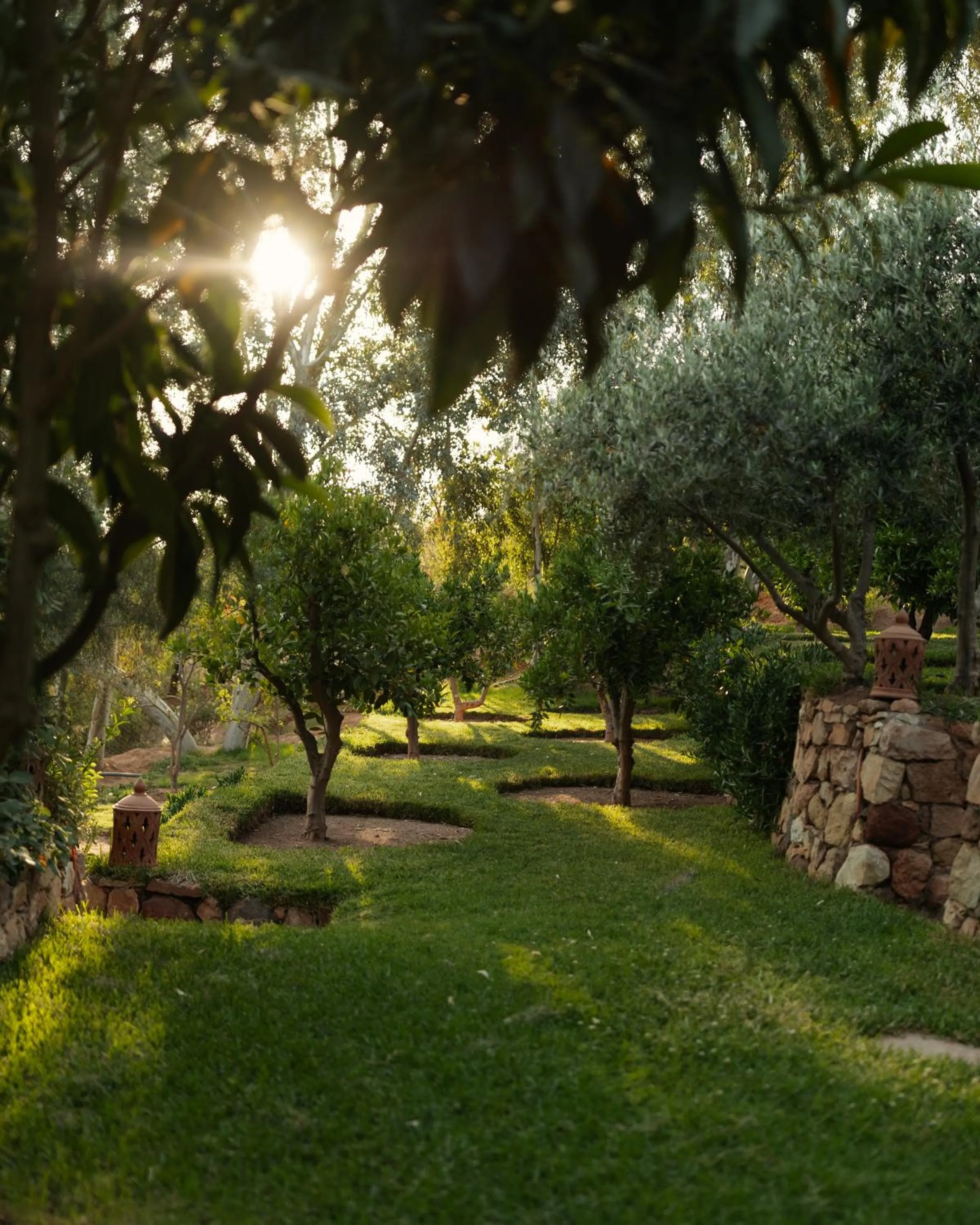 Garden in Olinto, Atlas Mountain Retreat - adults only