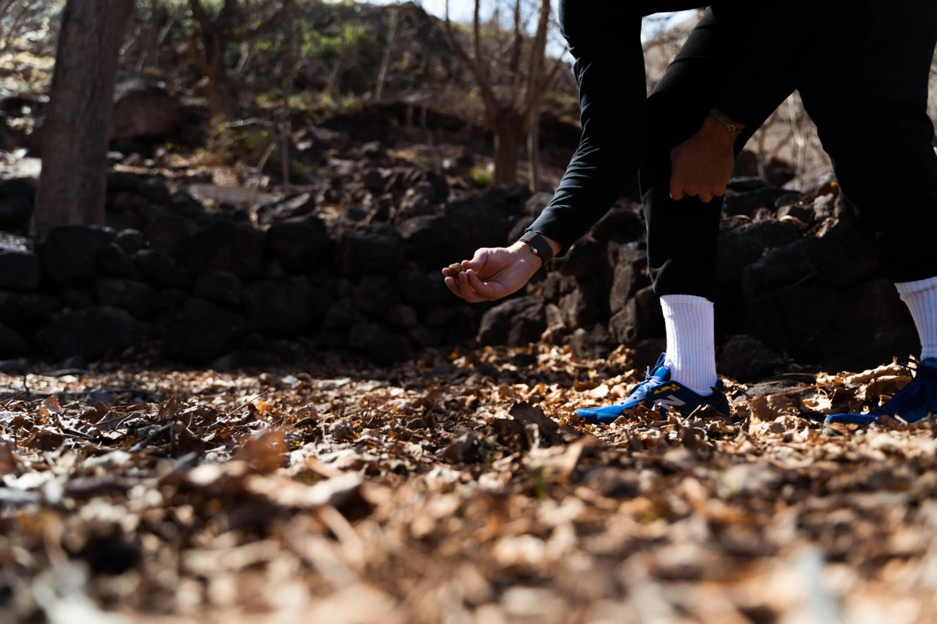 Activities in Olinto, Atlas Mountain Retreat - adults only