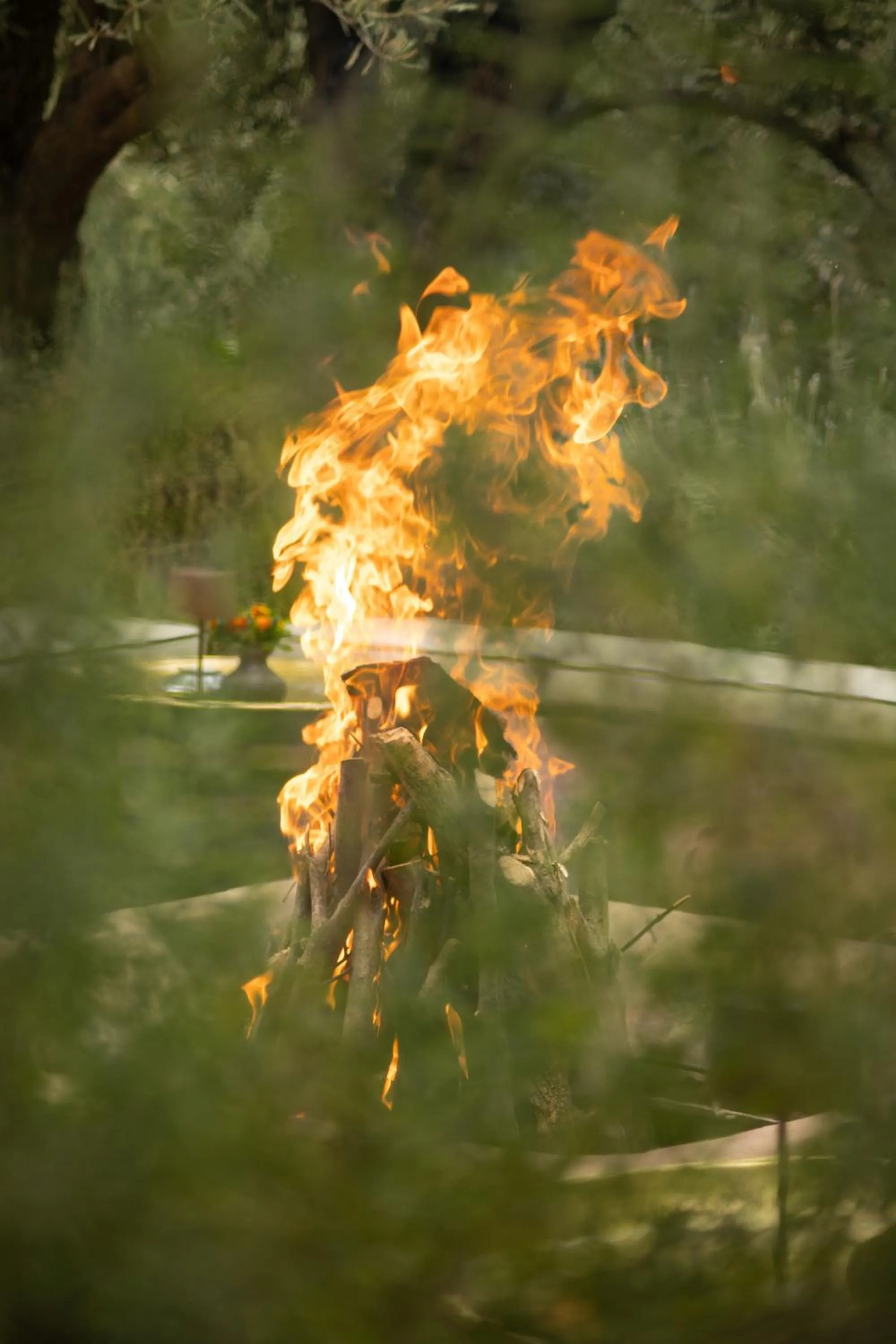 Garden in Olinto, Atlas Mountain Retreat - adults only