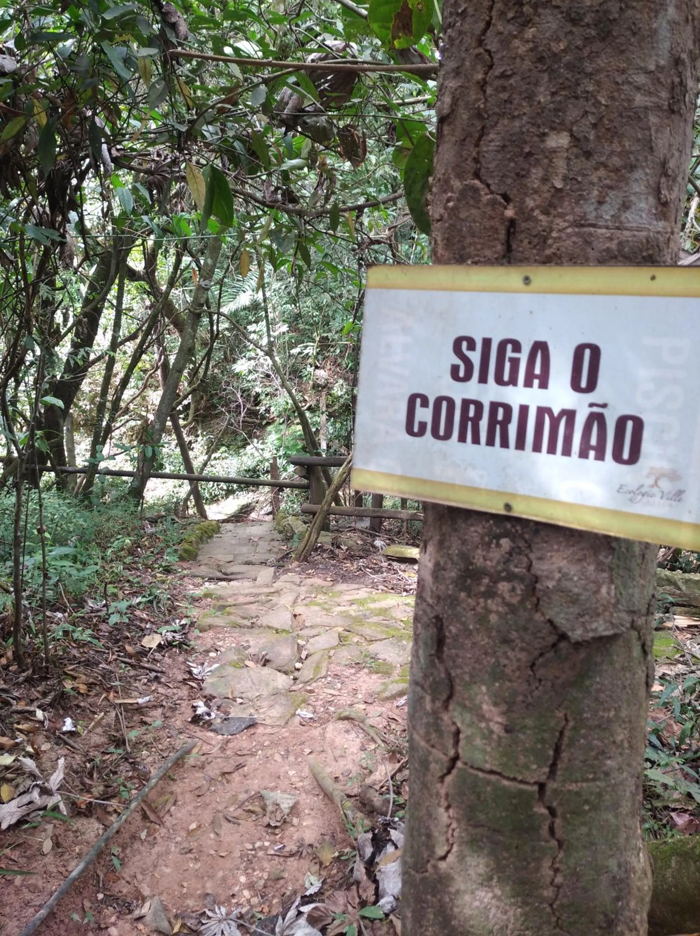 Natural landscape in Ecologic Ville Resort - Oficial