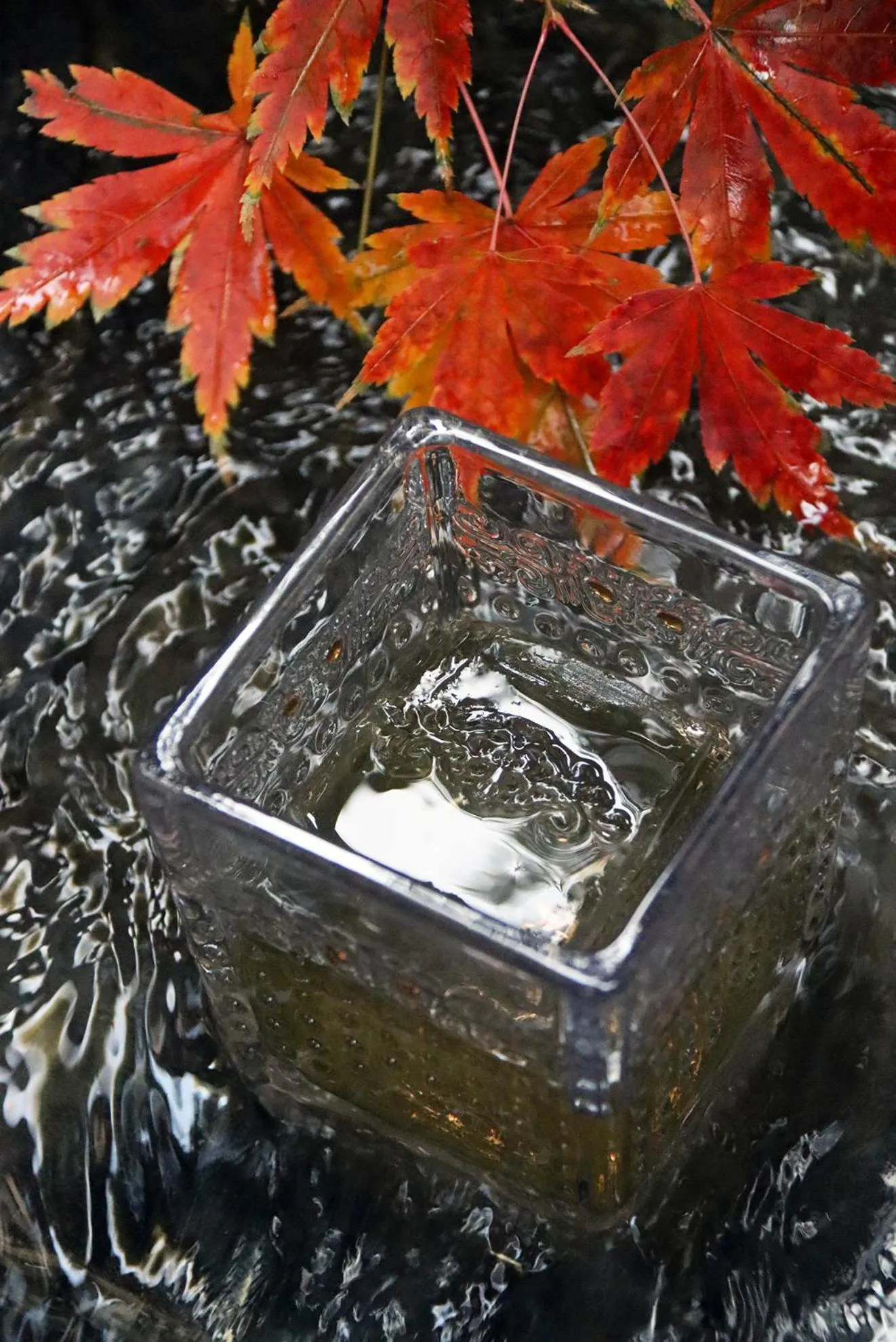 Restaurant/places to eat in Kimpton Bamboo Grove Suzhou by IHG