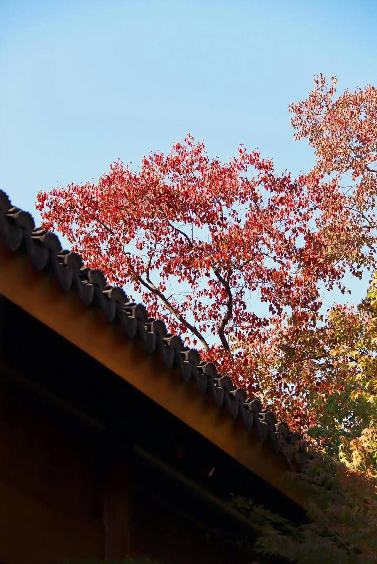 Property building in Kimpton Bamboo Grove Suzhou by IHG