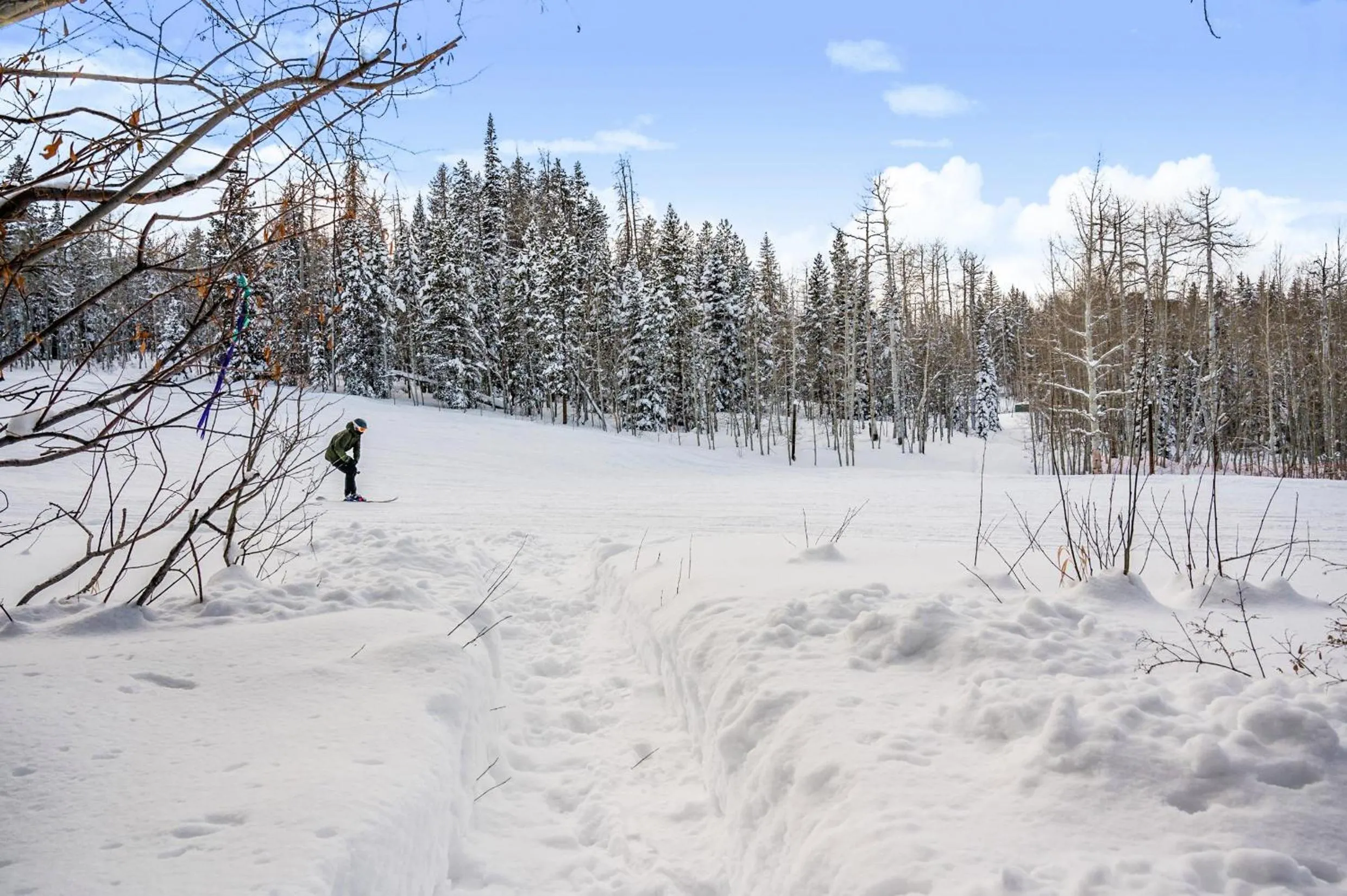 Natural landscape in Trails Edge by Snowmass Vacations