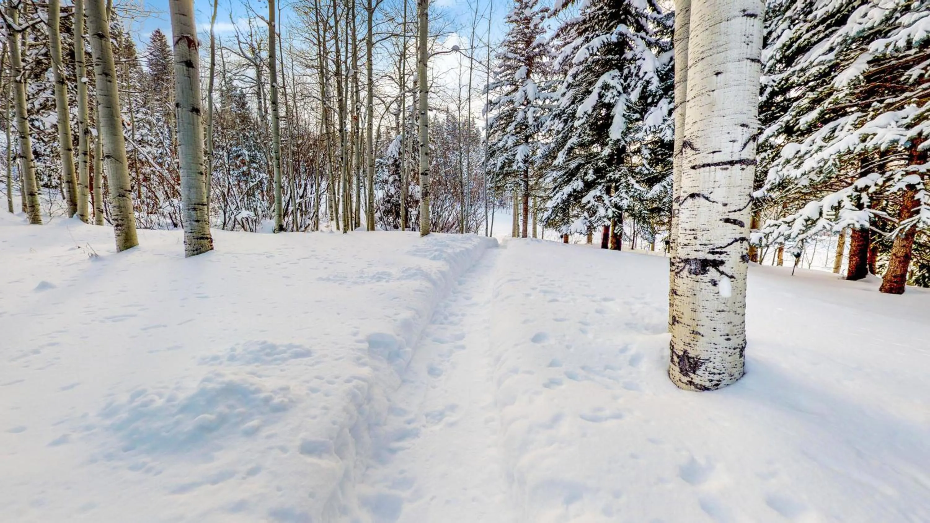 Natural landscape in Trails Edge by Snowmass Vacations