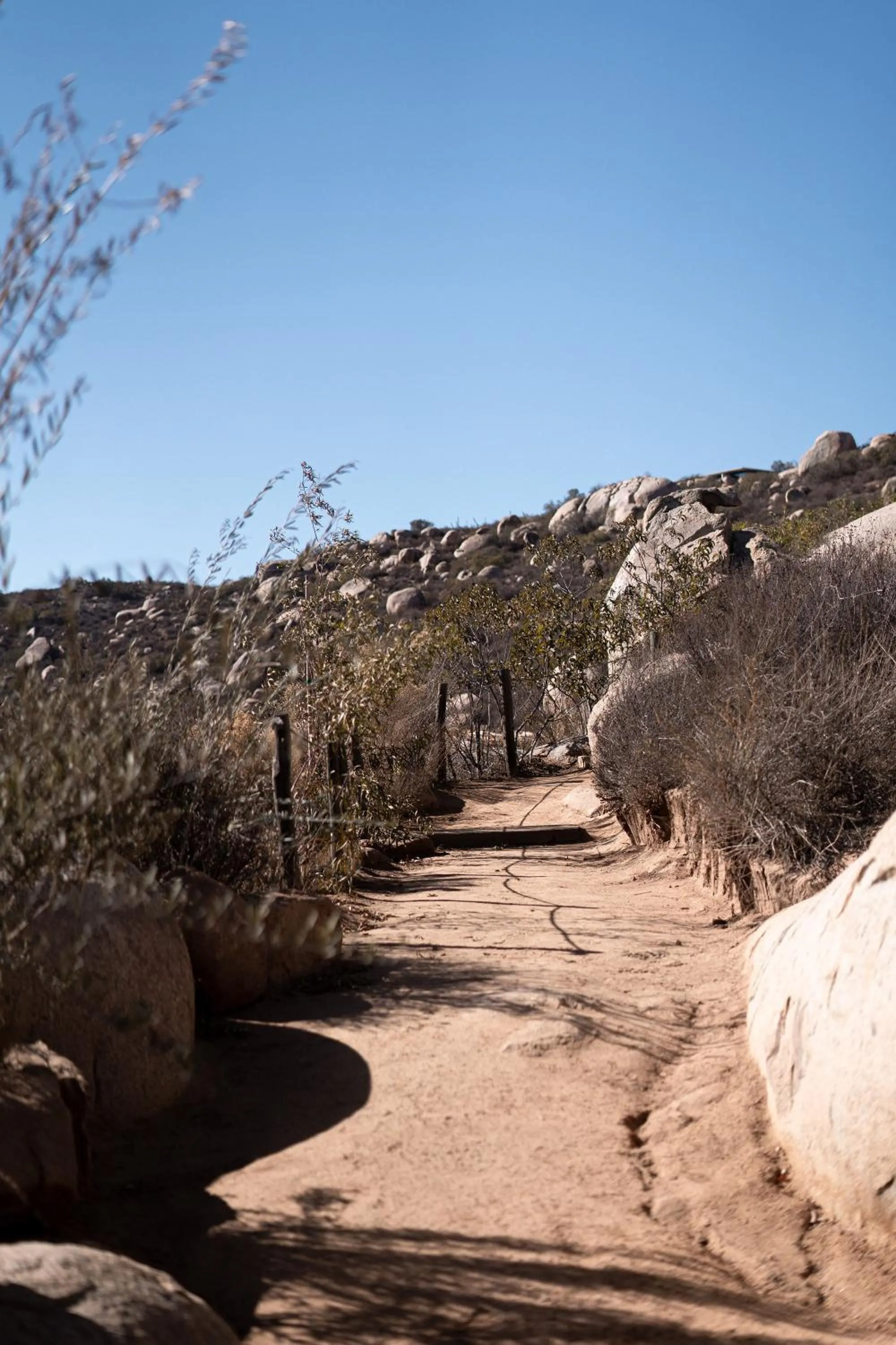 Natural landscape in Encuentro Guadalupe