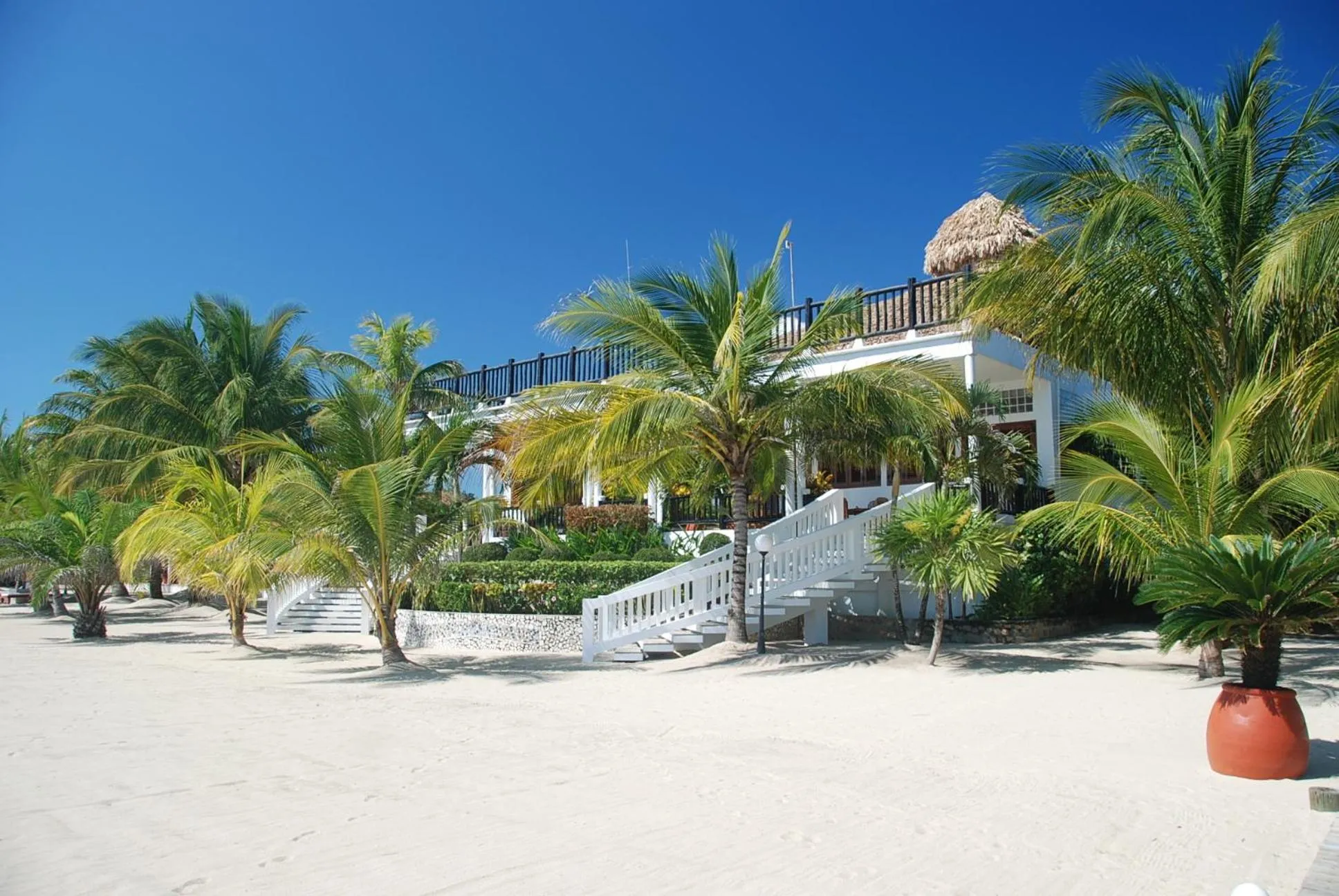 Restaurant/places to eat in Placencia Resort