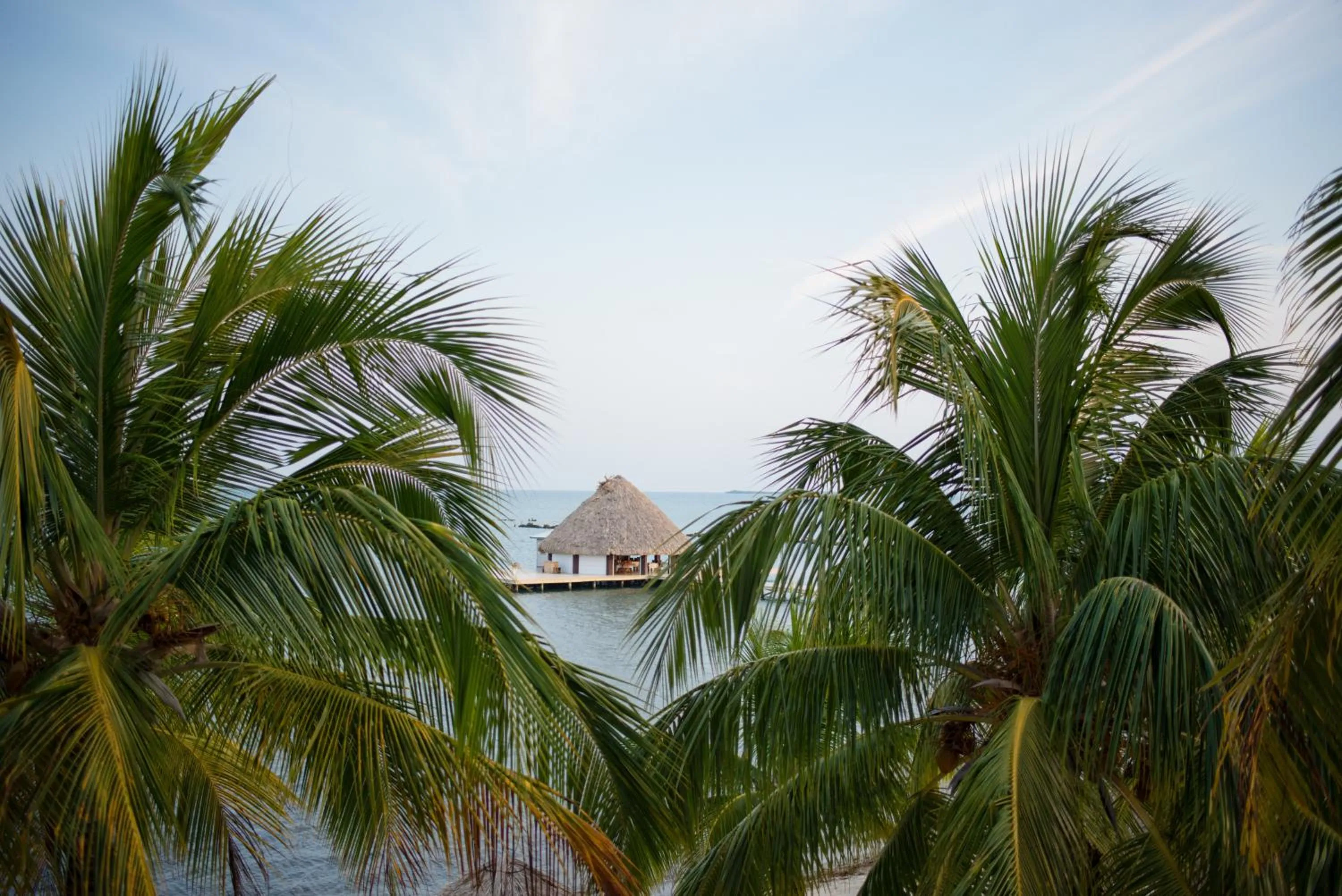View (from property/room) in Placencia Resort