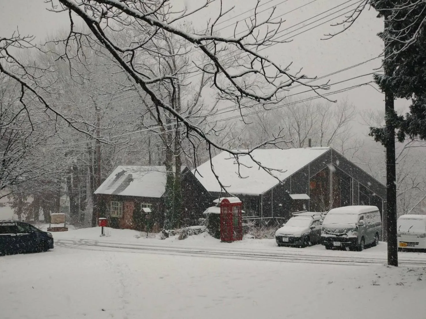 Property building in Woody House Kazamidori