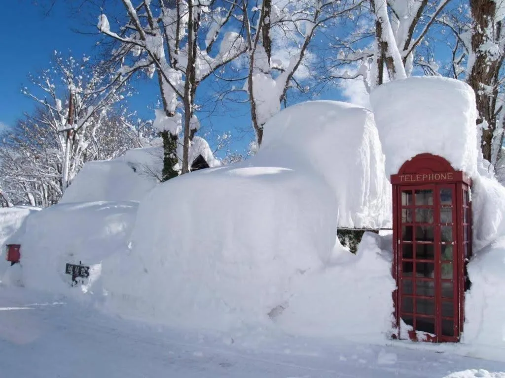 Property building in Woody House Kazamidori