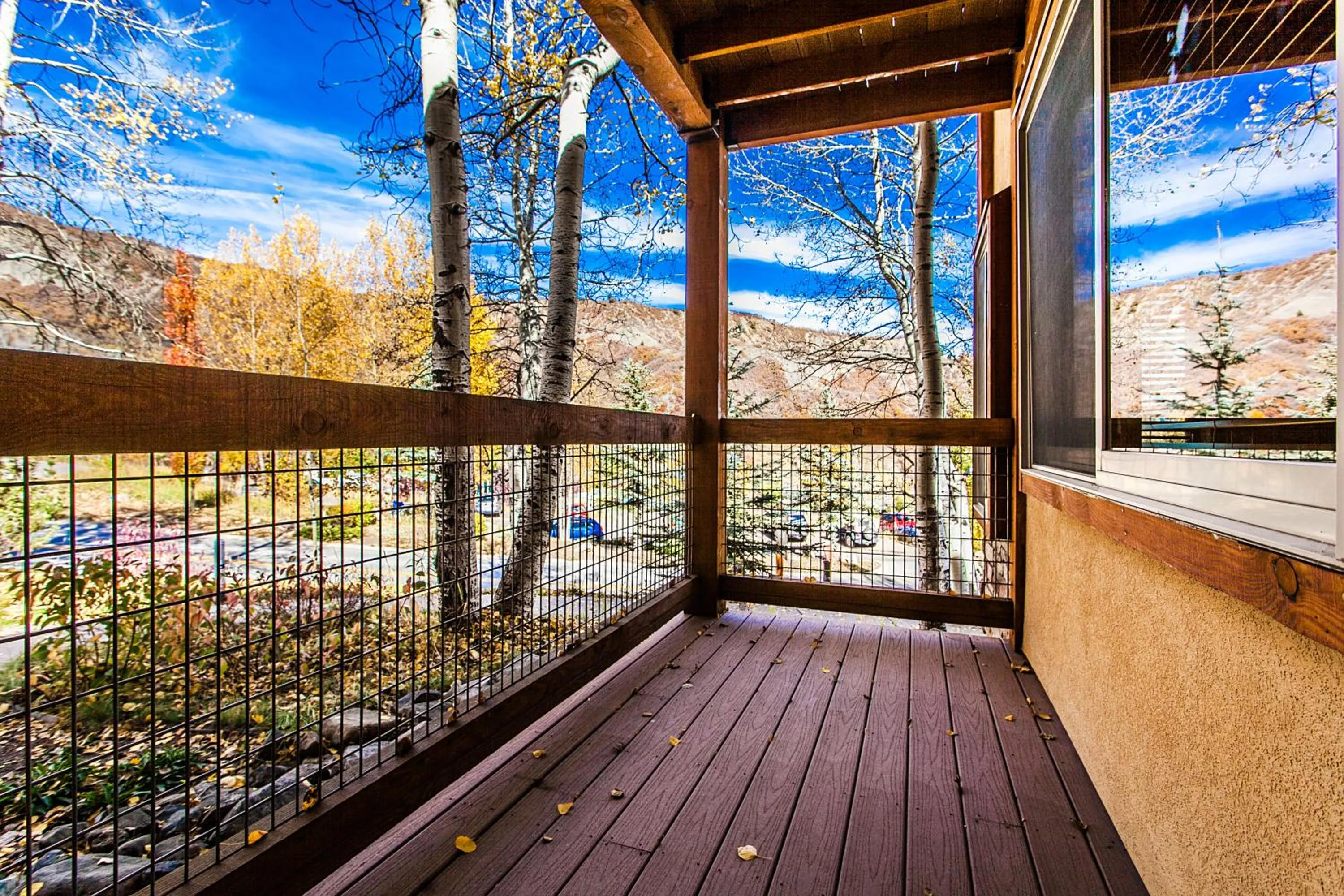 Mountain view in Willows Condos by Snowmass Vacations