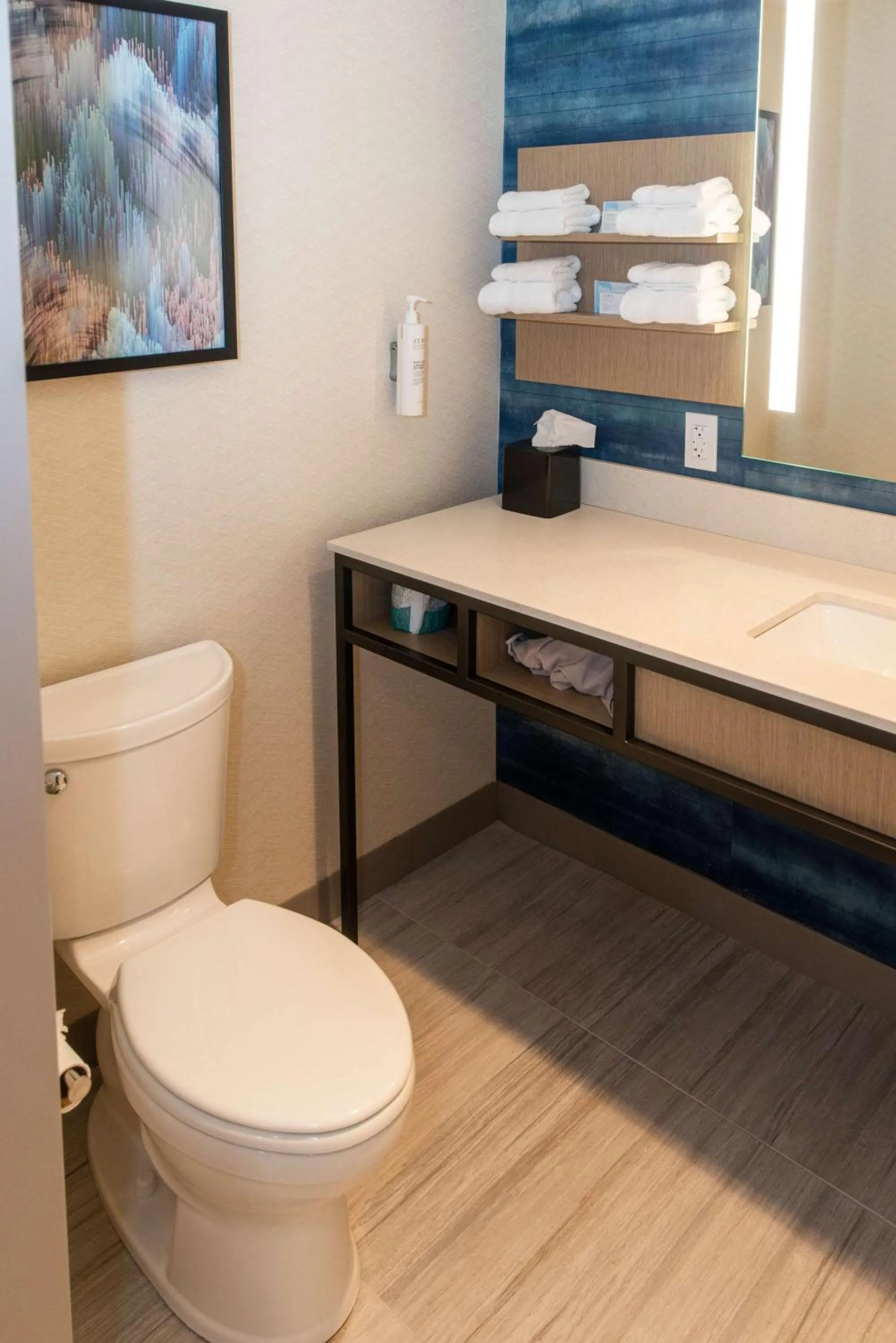 Bathroom, Bed in Hilton Garden Inn Mattoon, IL