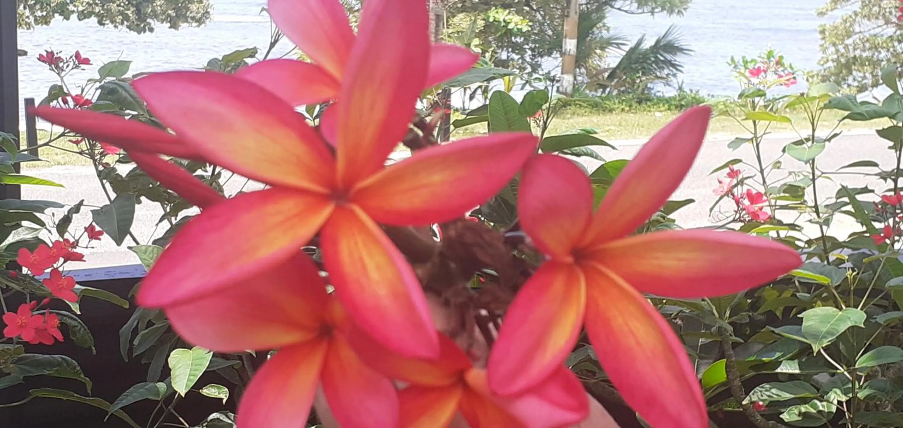 Patio in Kaila Na Ua Resort